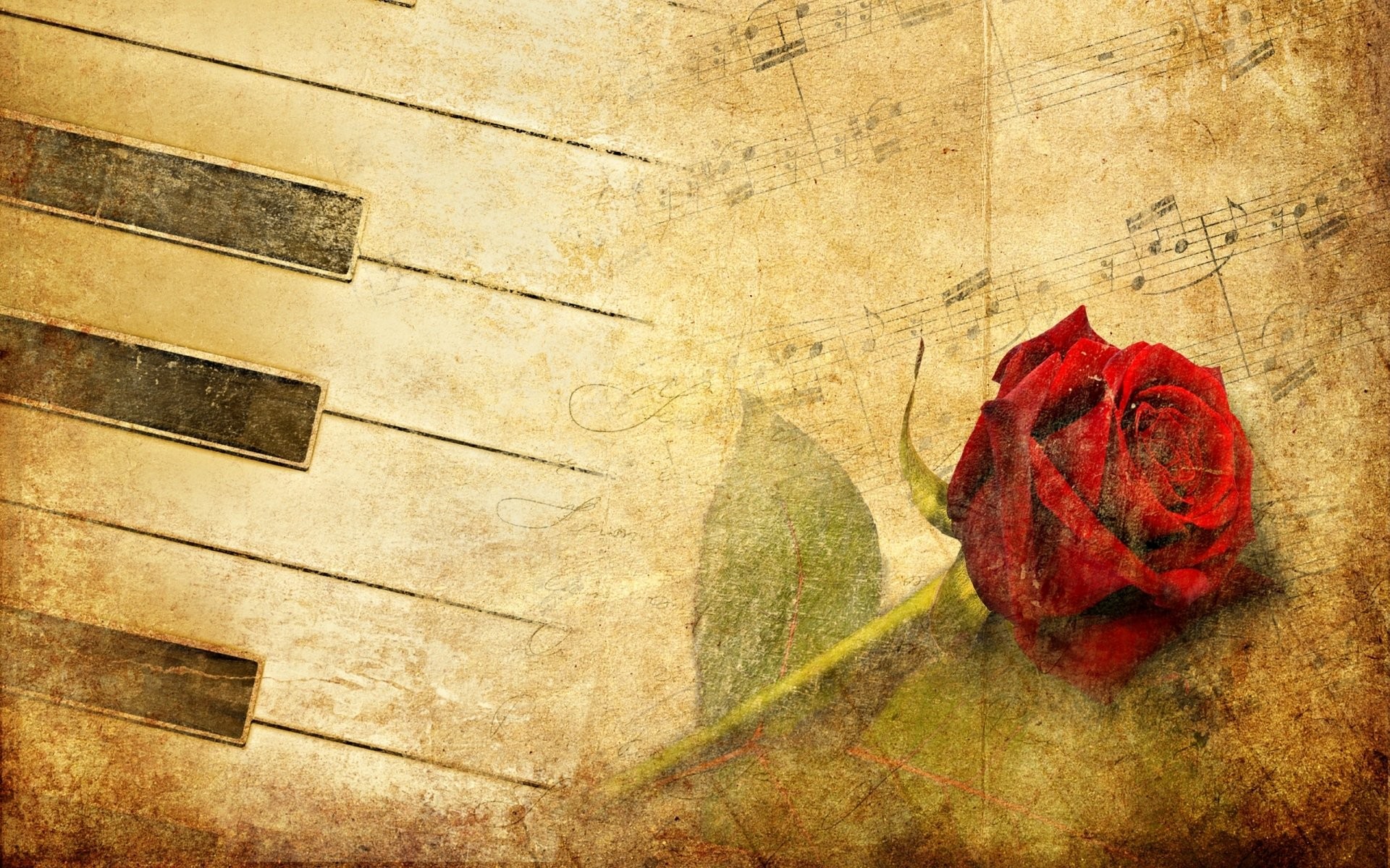 Tasti del pianoforte, Rosa rossa, Spartito, Vintage, Full HD, sfondo per PC