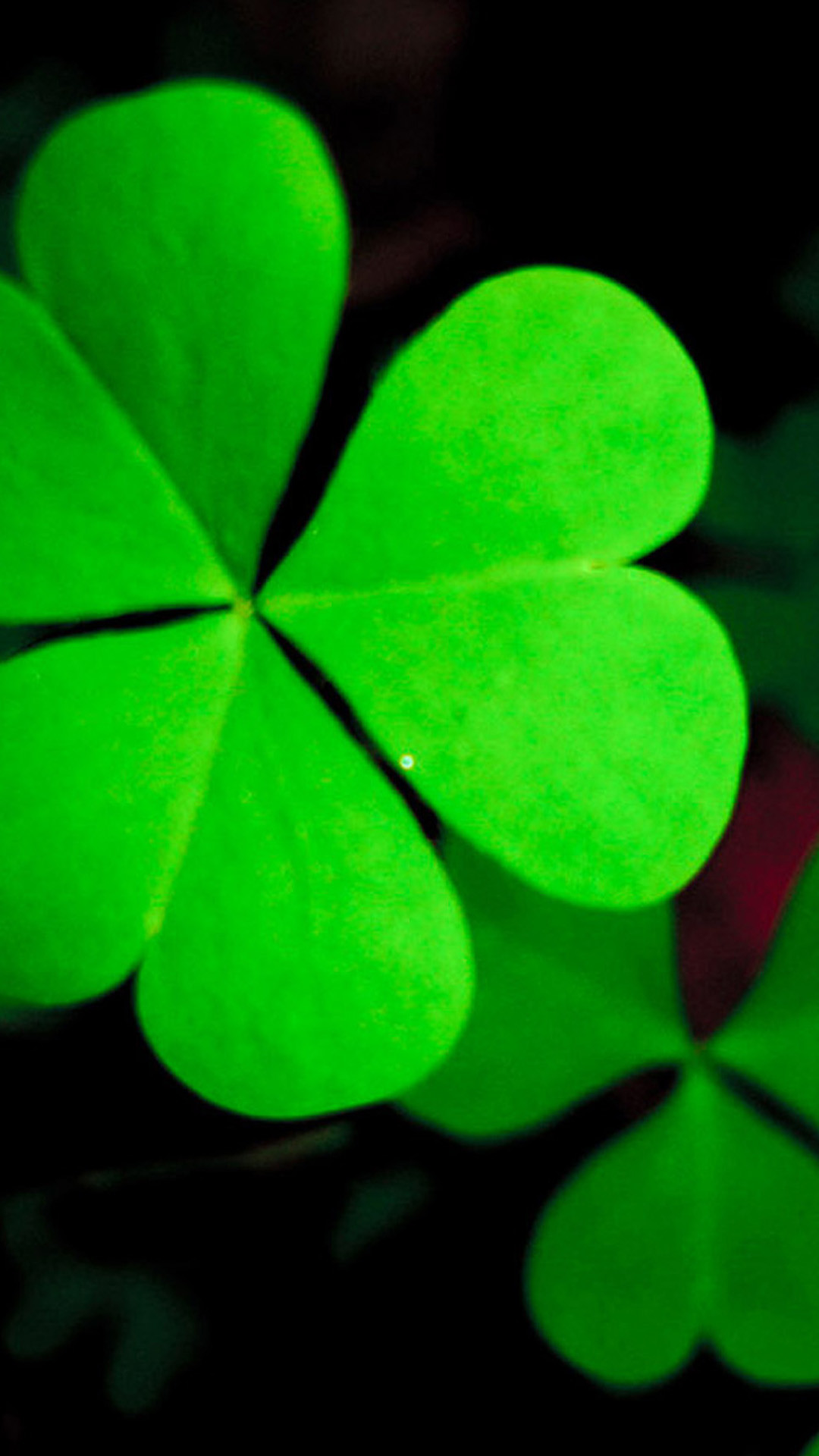 Quadrifoglio, Trifoglio, Sfondo nero, Full HD, wallpaper per smartphone