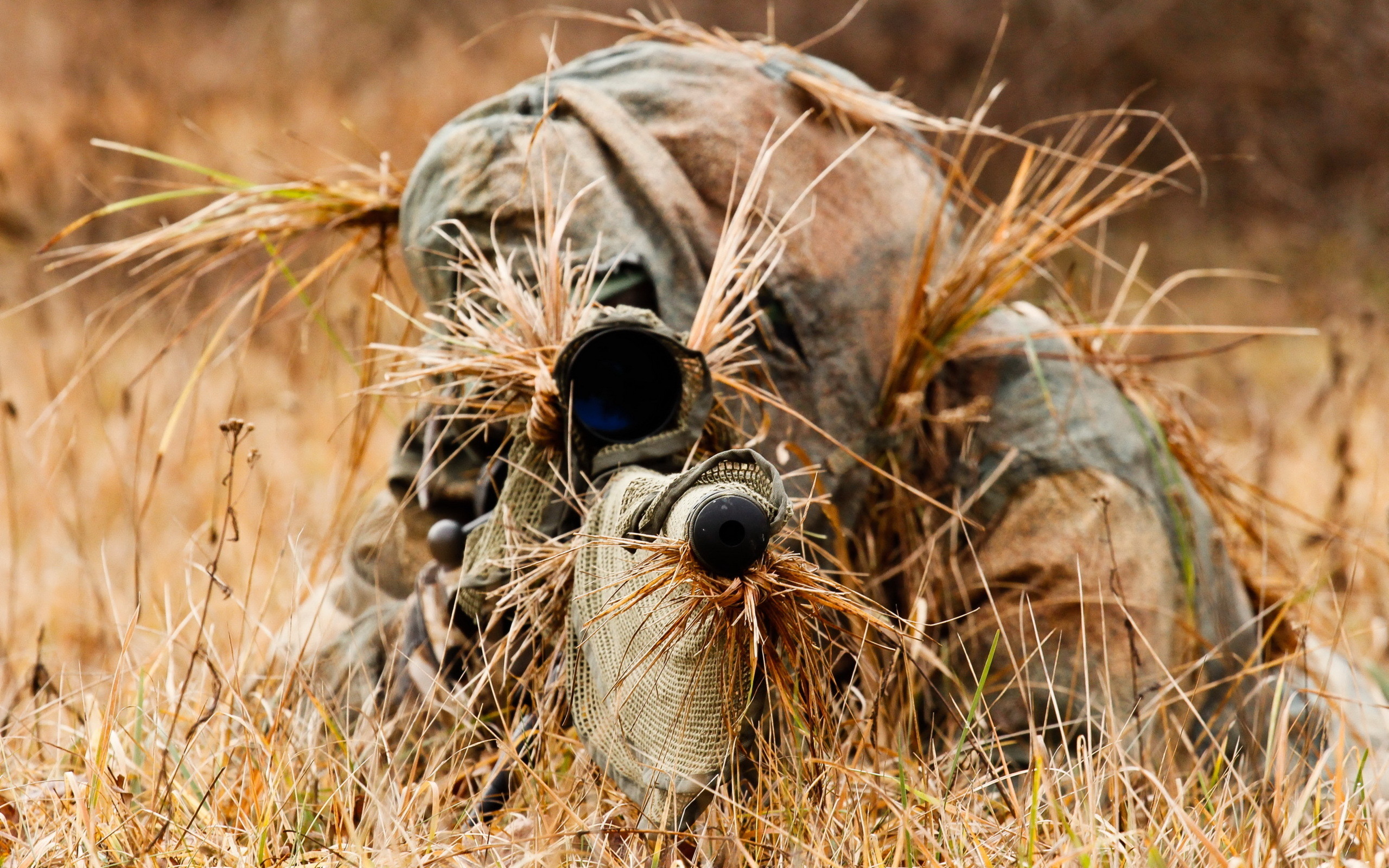 Cecchino, Ghillie suit, Erba secca, Mirino, 16:10 2K, sfondo widescreen