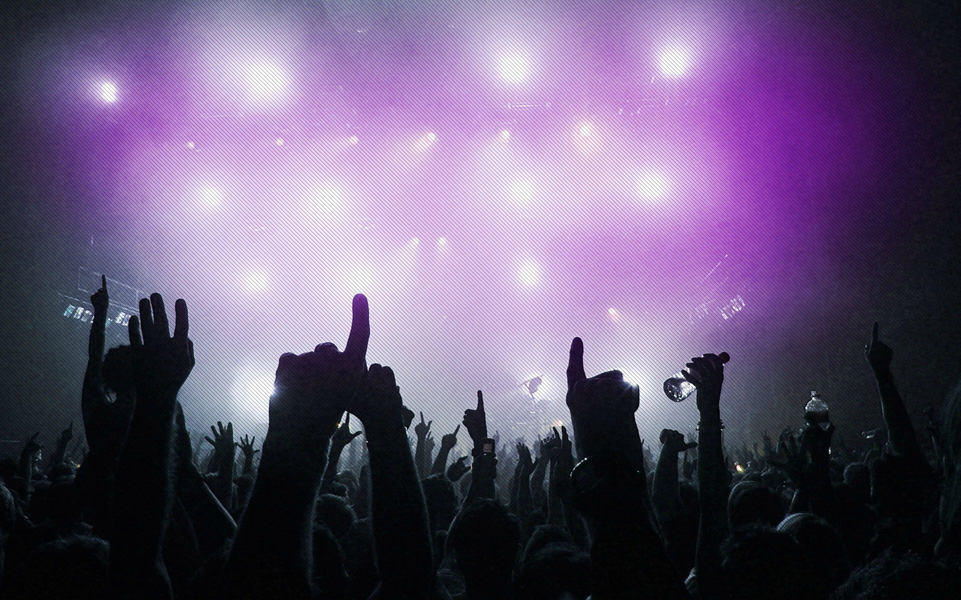 Concerto, Folla, Luci viola, Silhouette, 16:10 Full HD, sfondo widescreen