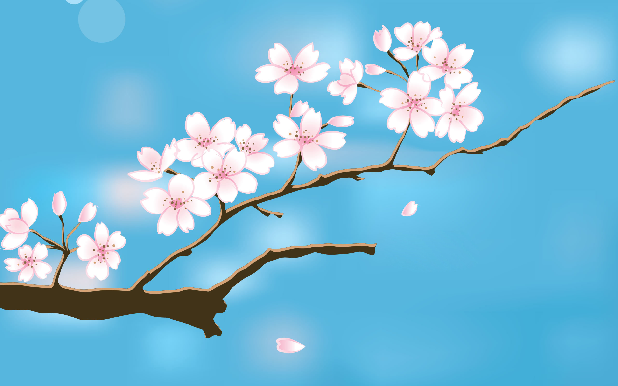 Ramo di ciliegio, Fiori di ciliegio, Azzurro, Illustrazione, 2K, sfondo per desktop
