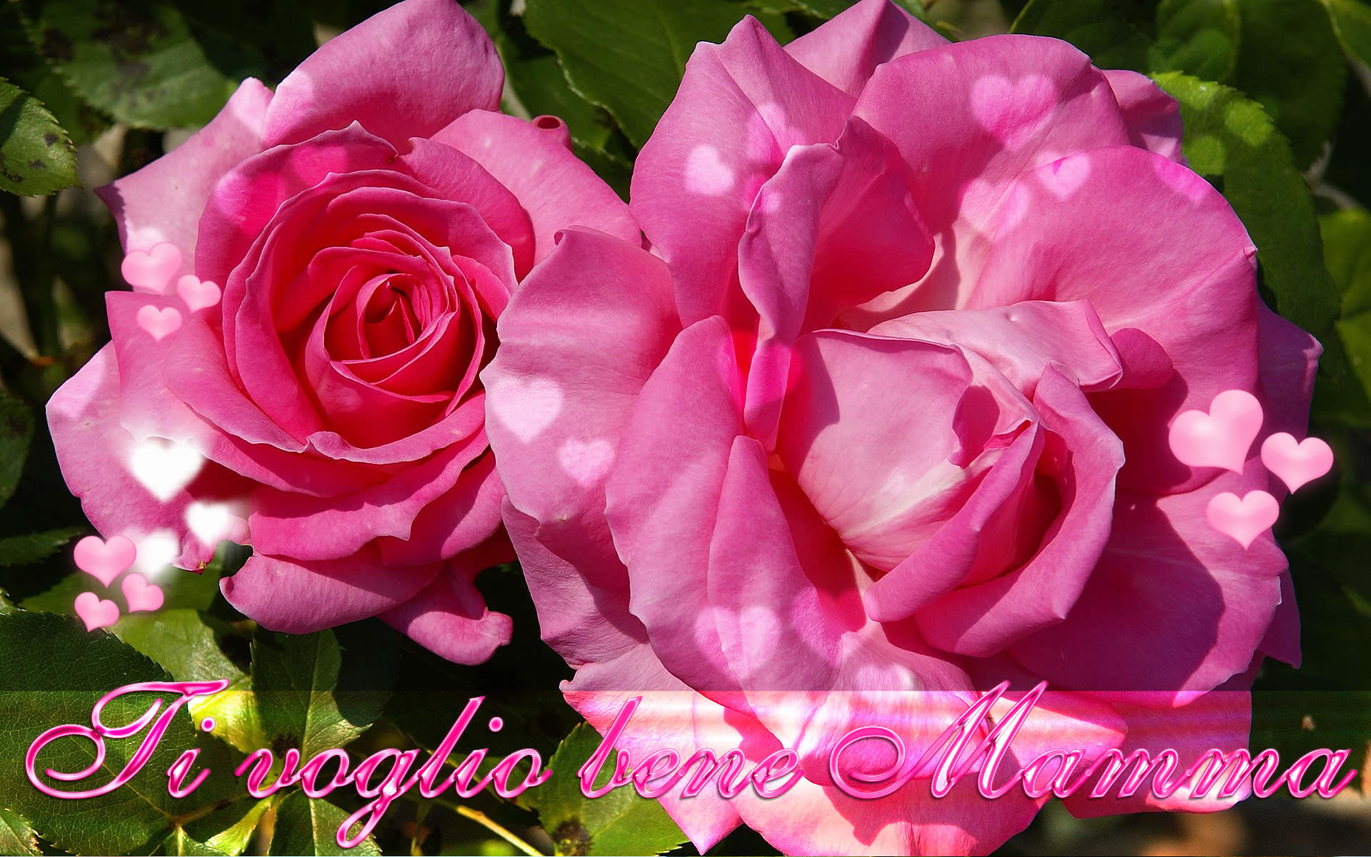 Ti voglio bene Mamma, Rose rosa, Cuori, 1920x1201, sfondo MacBook Pro