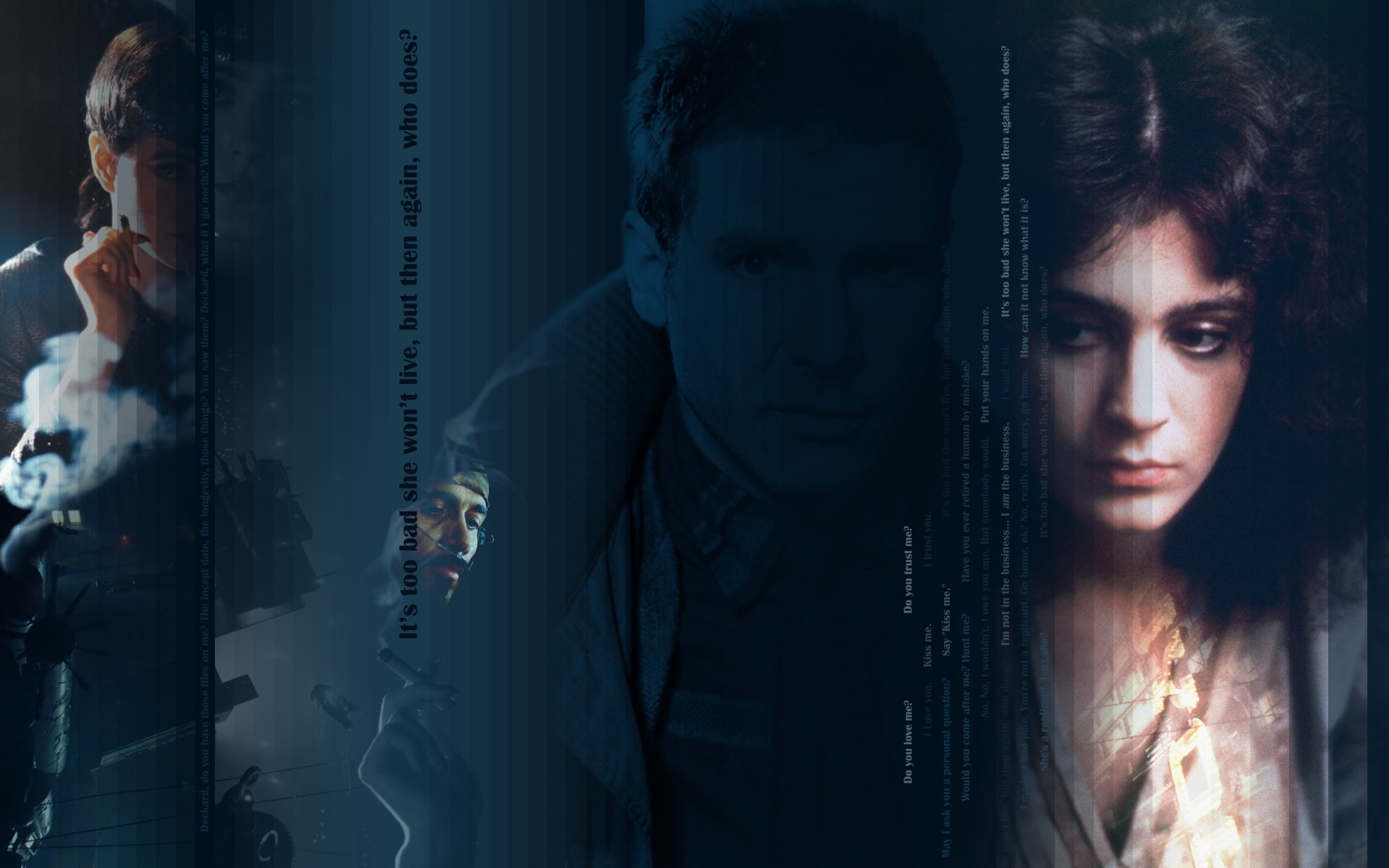 Blade Runner, Rick Deckard, Rachael, Sean Young, Blu, 16:10 Full HD, wallpaper widescreen