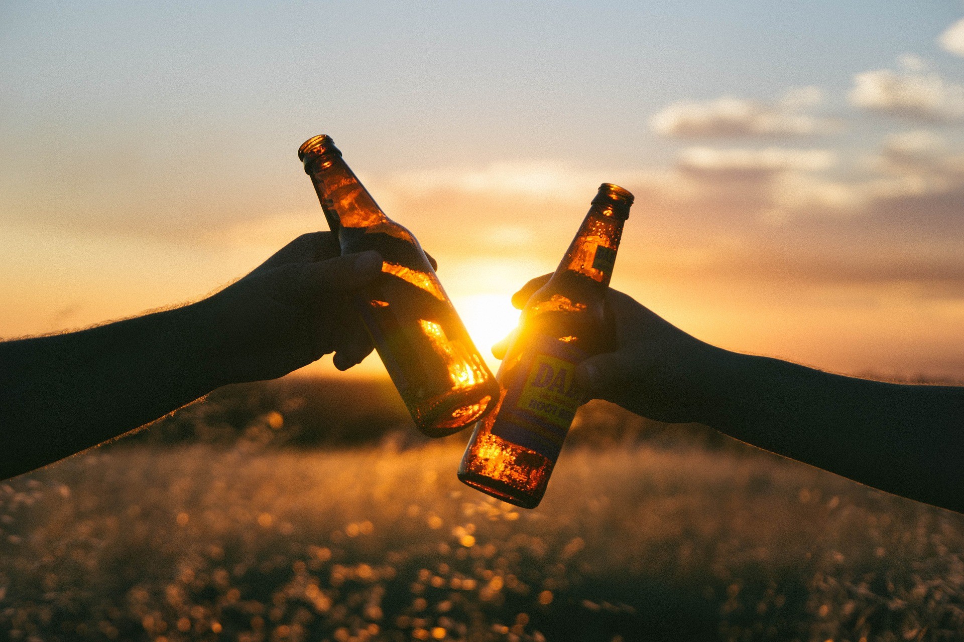 Brindisi, Bottiglie di birra, Tramonto, Controluce, Full HD, sfondo per portatile