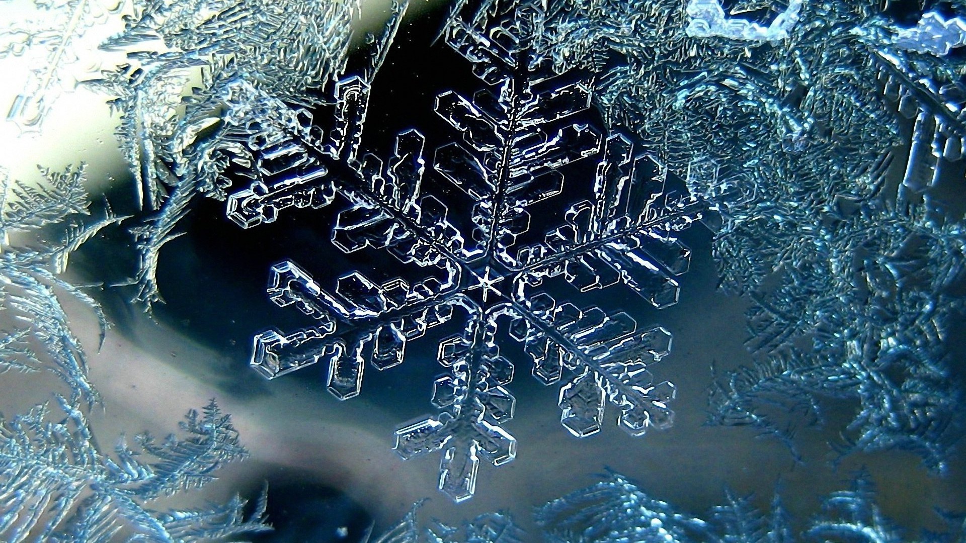 Fiocco di neve, Ghiaccio, Macro, Inverno, Full HD, sfondo per portatile