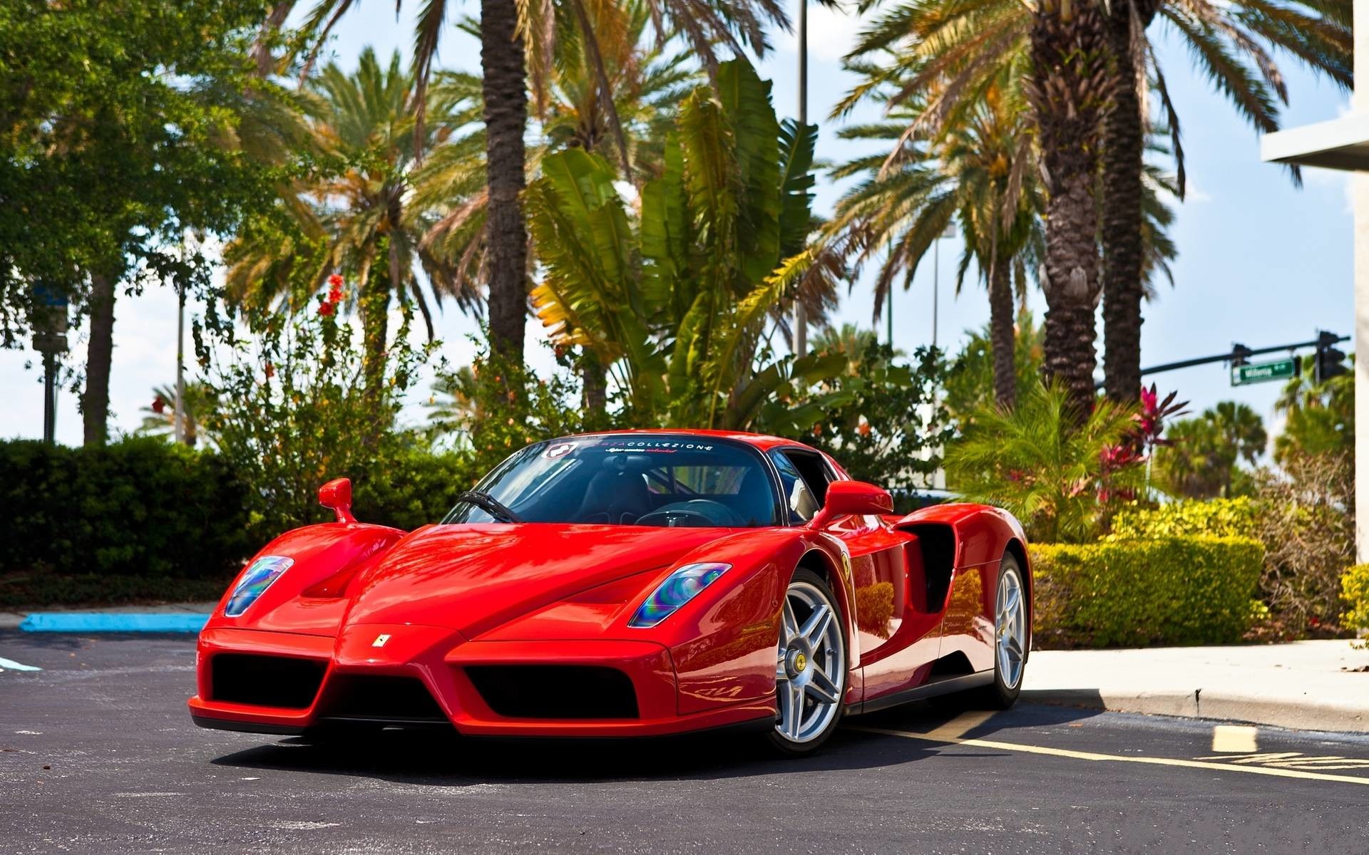 Enzo Ferrari, Rosso, Palme, Hypercar, 16:10 Full HD, sfondo widescreen