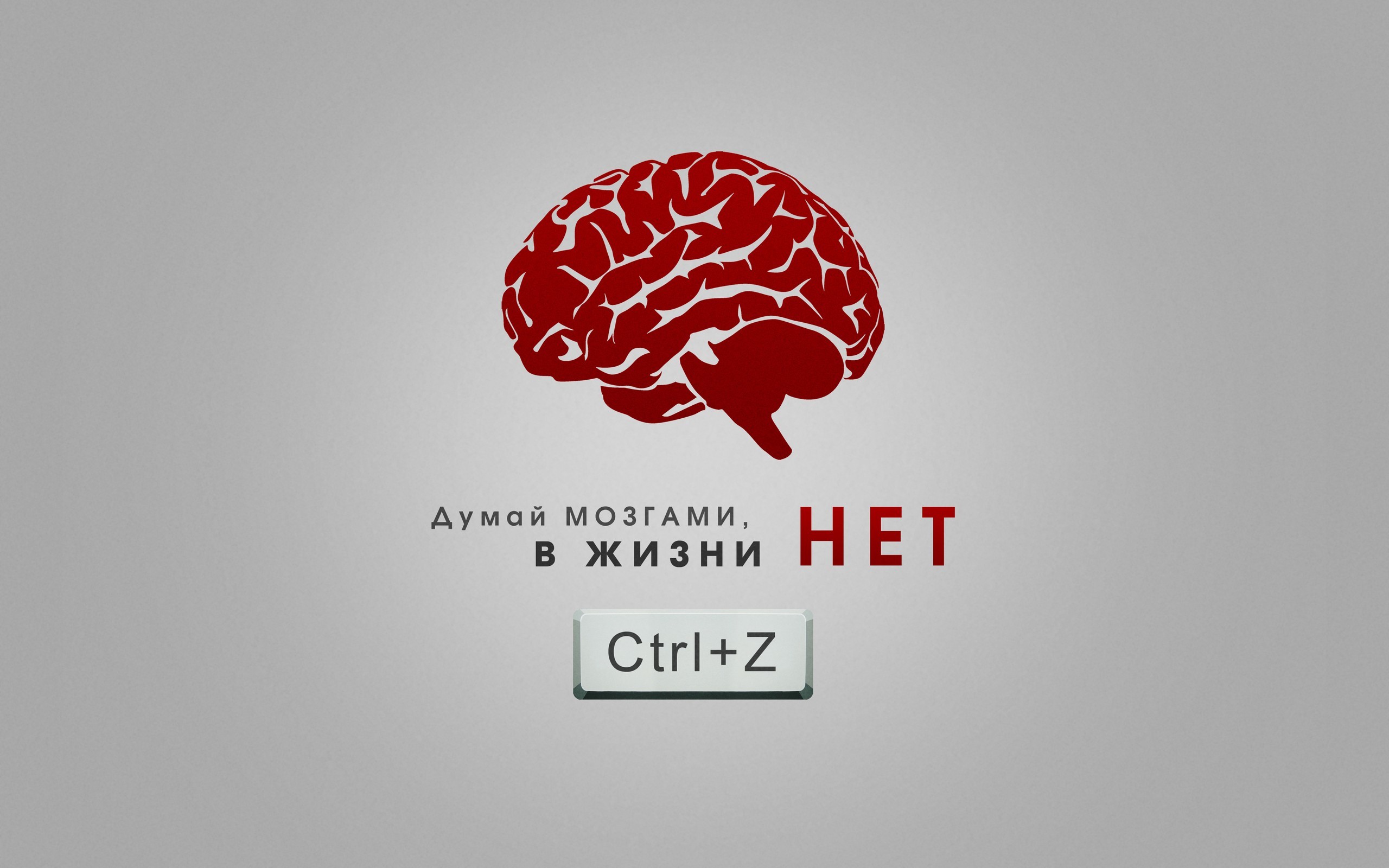Cervello, Ctrl+Z, Testo in russo, Sfondo grigio, 2K, wallpaper per computer