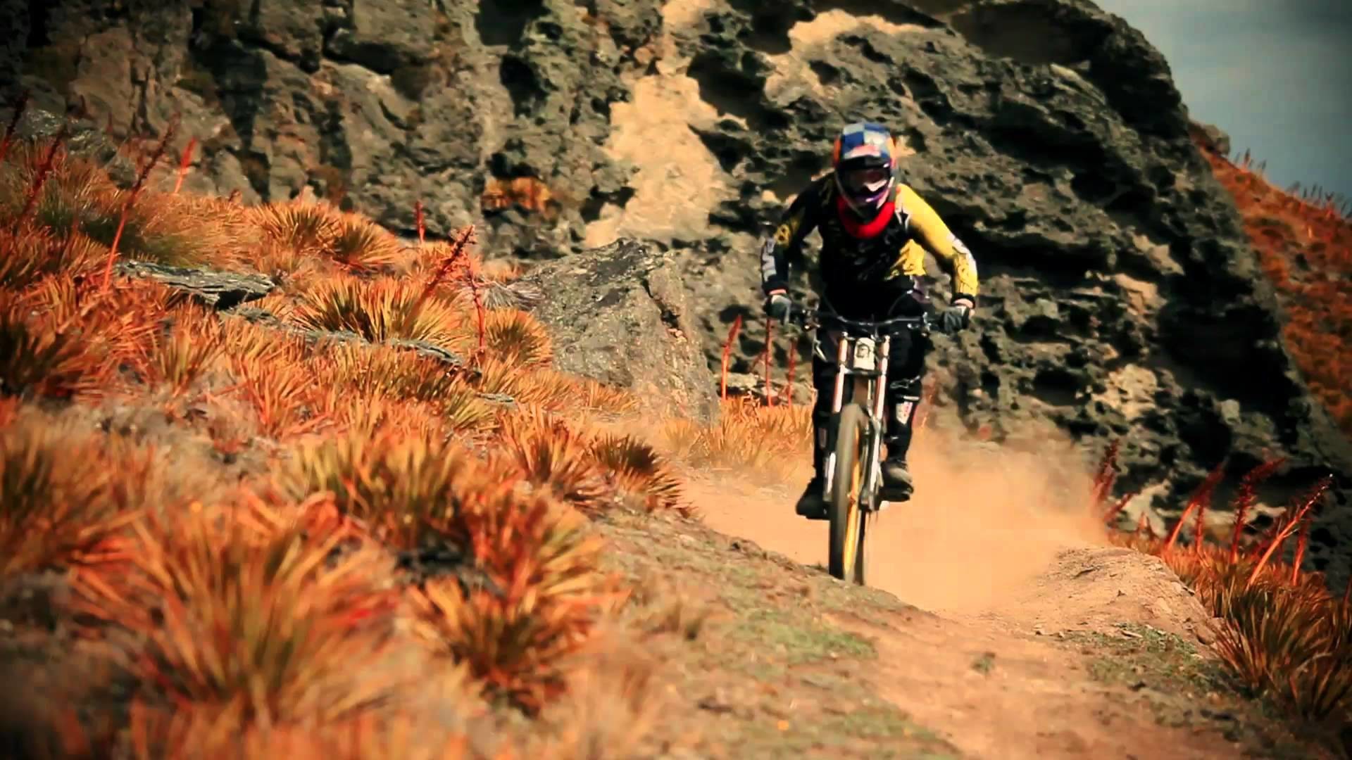 Mountain bike, Sentiero, Rocce, Erba arancione, Full HD, sfondo Windows 11