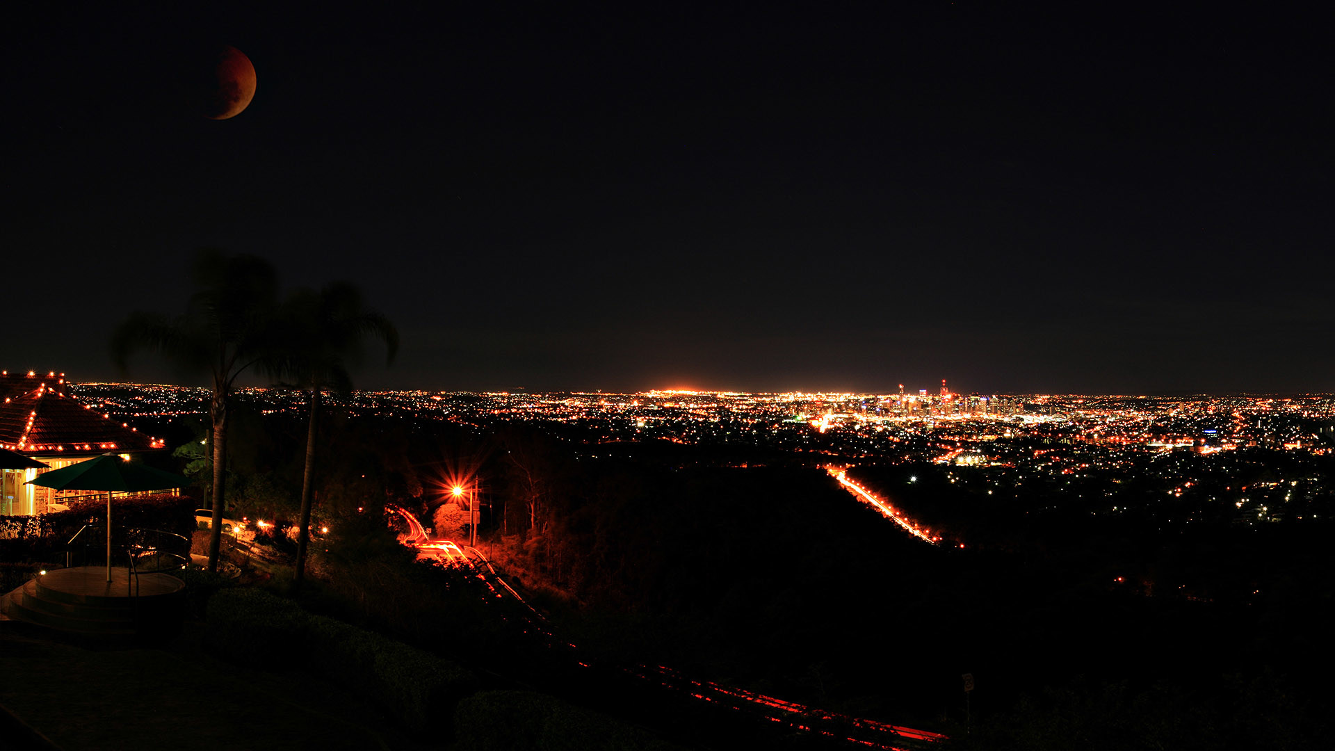 Luci della città, Panorama notturno, Palme, Luna, Notte, 1920x1080, sfondo per PC