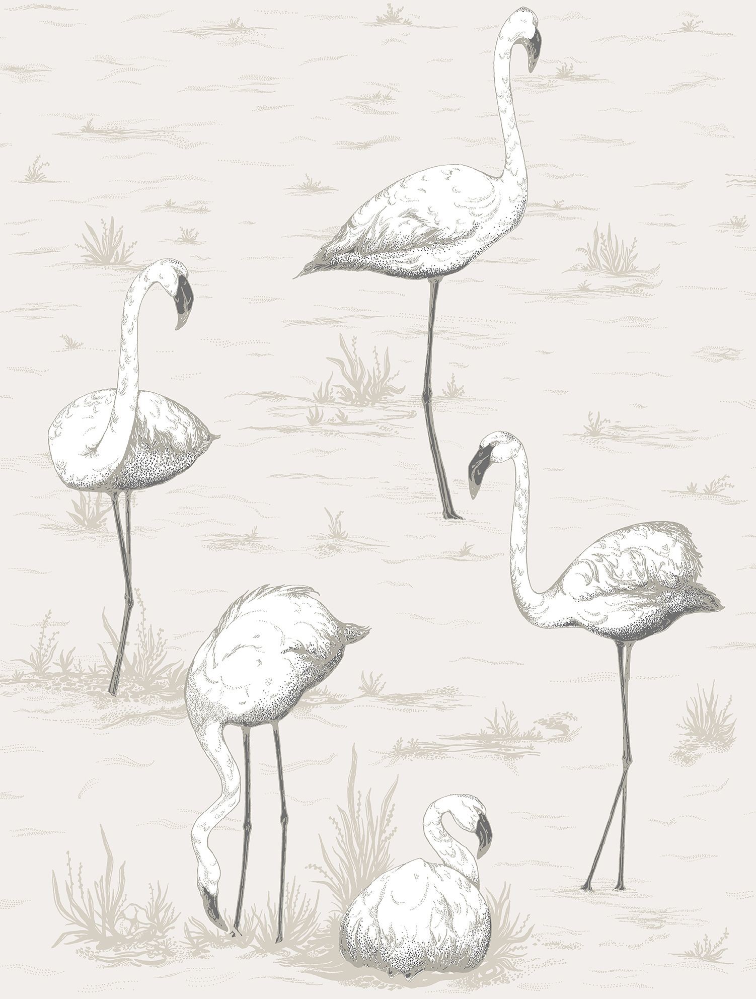 Fenicotteri, Disegno a matita, Bianco e nero, Carta da parati, sfondo per iPad e tablet