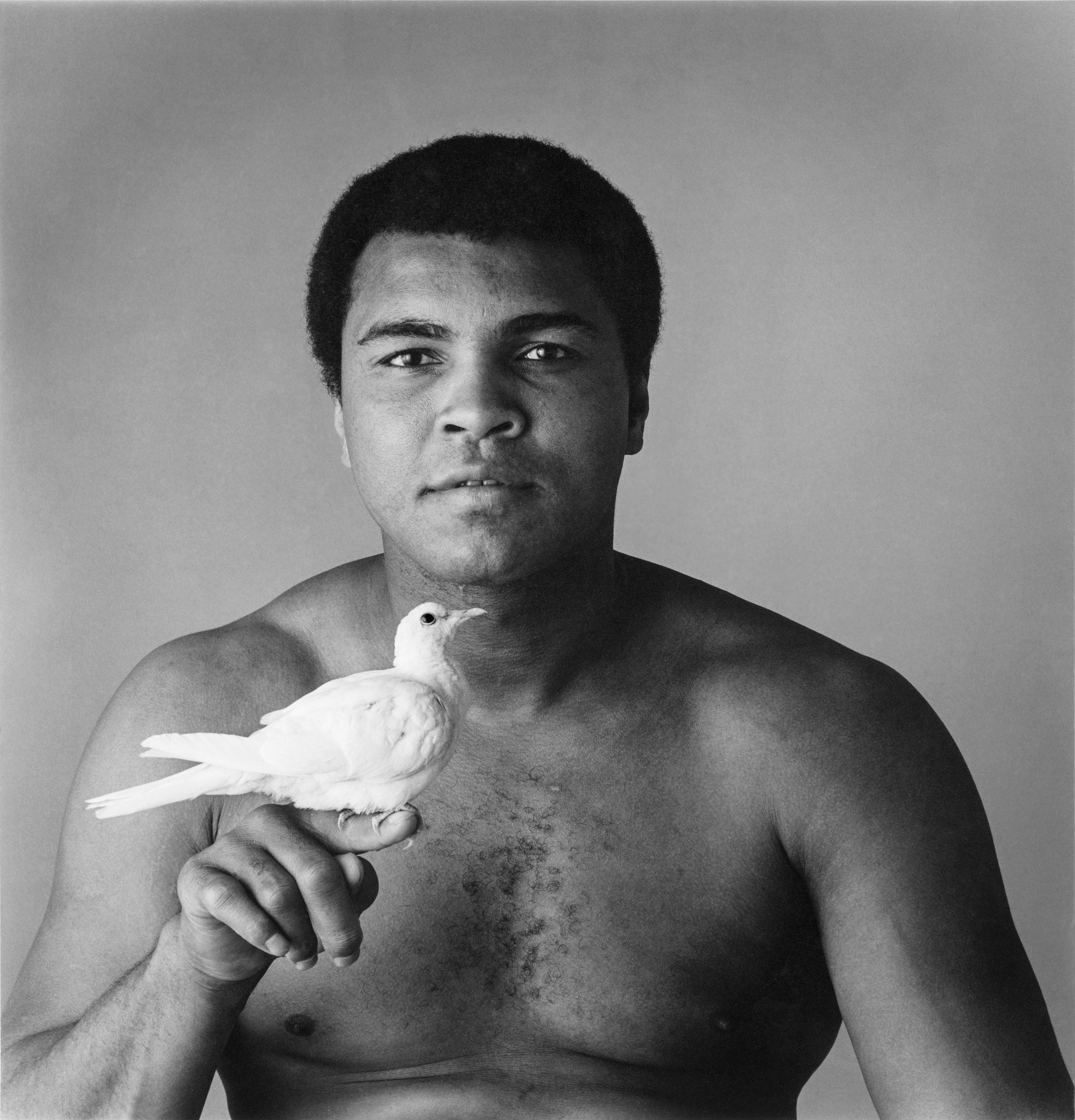 Muhammad Ali, Colomba, Ritratto, Bianco e nero, Full HD, sfondo per iPad e tablet