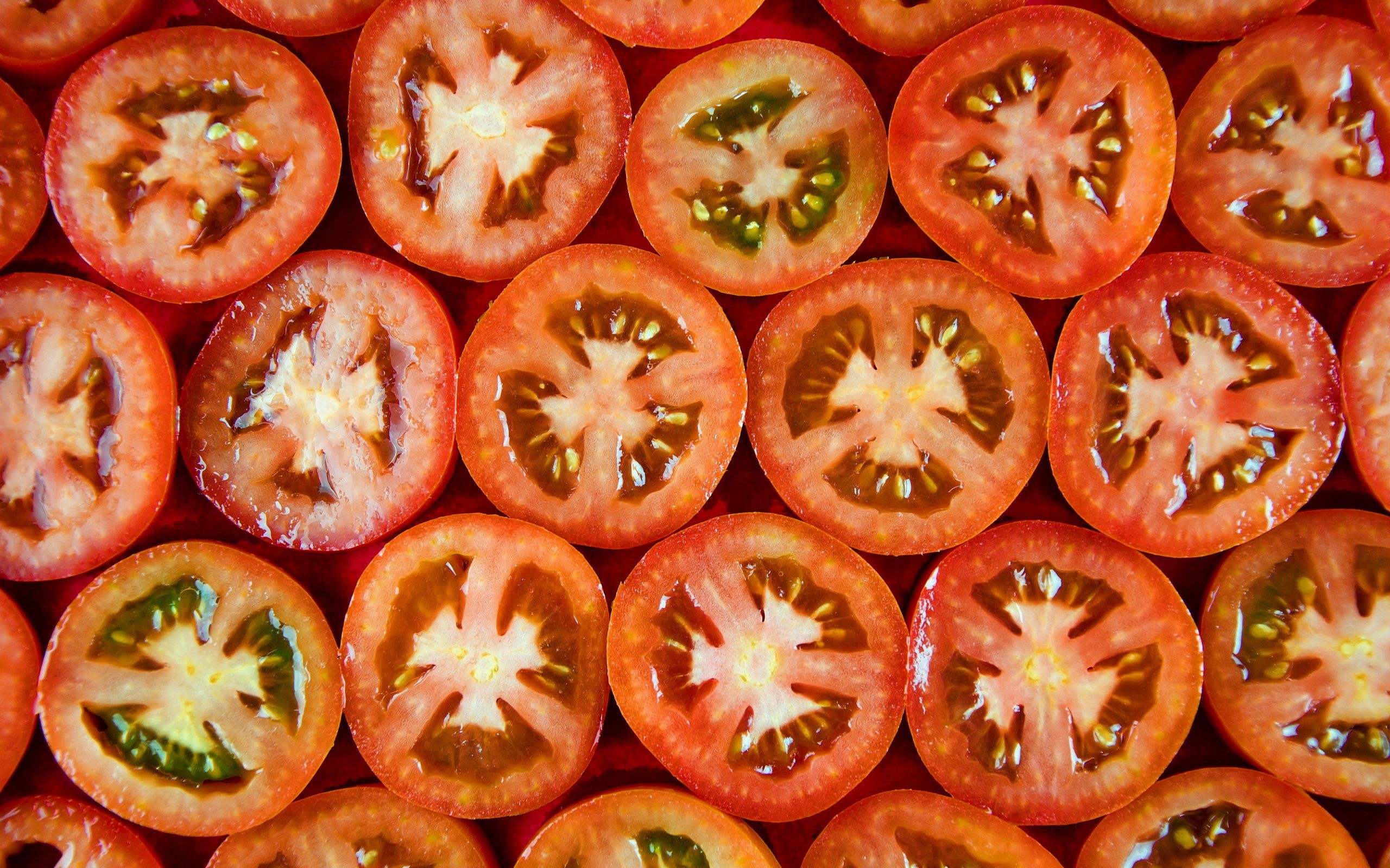 Pomodori, Fette di pomodoro, Motivo, Rosso, 16:10 2K, wallpaper widescreen