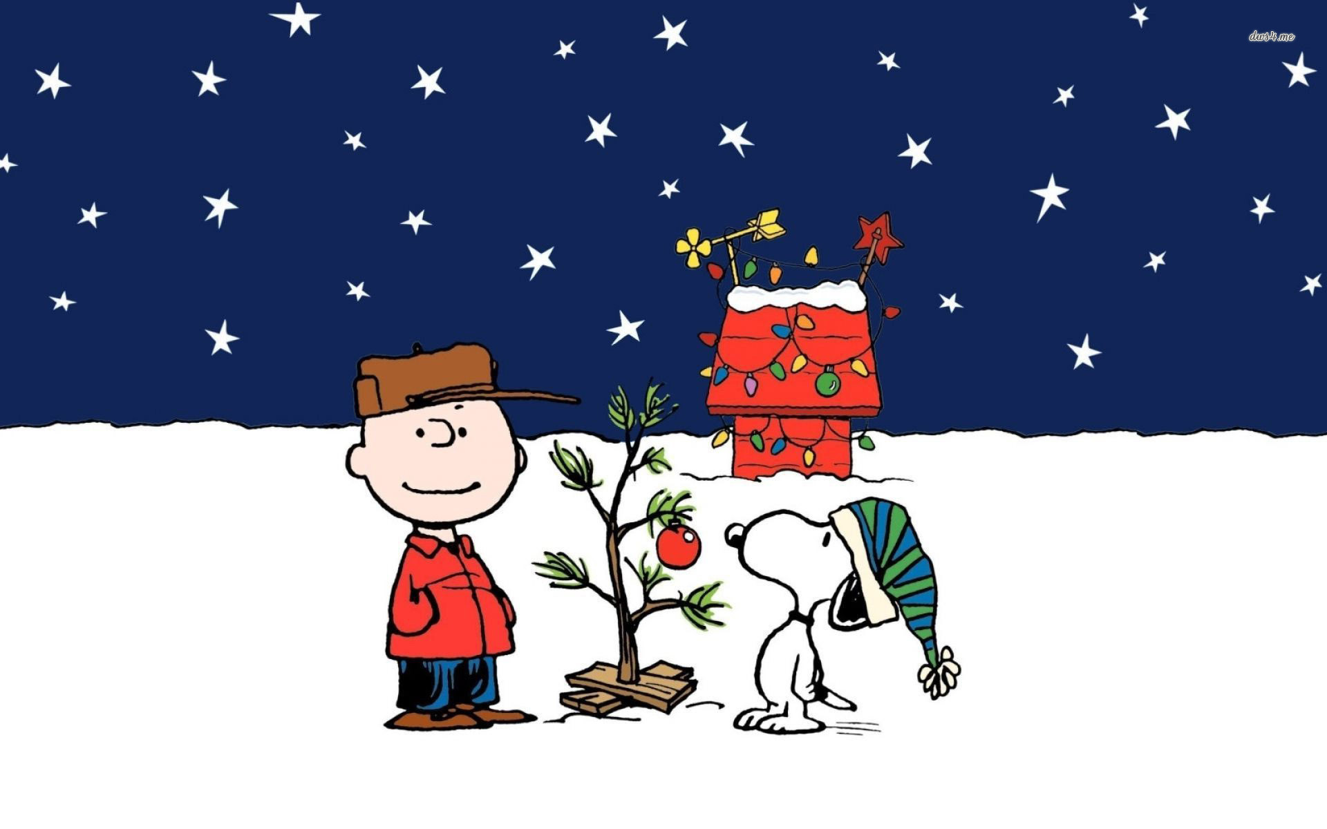 Snoopy, Charlie Brown, Un Natale da Charlie Brown, Notte stellata, sfondo Full HD per portatile