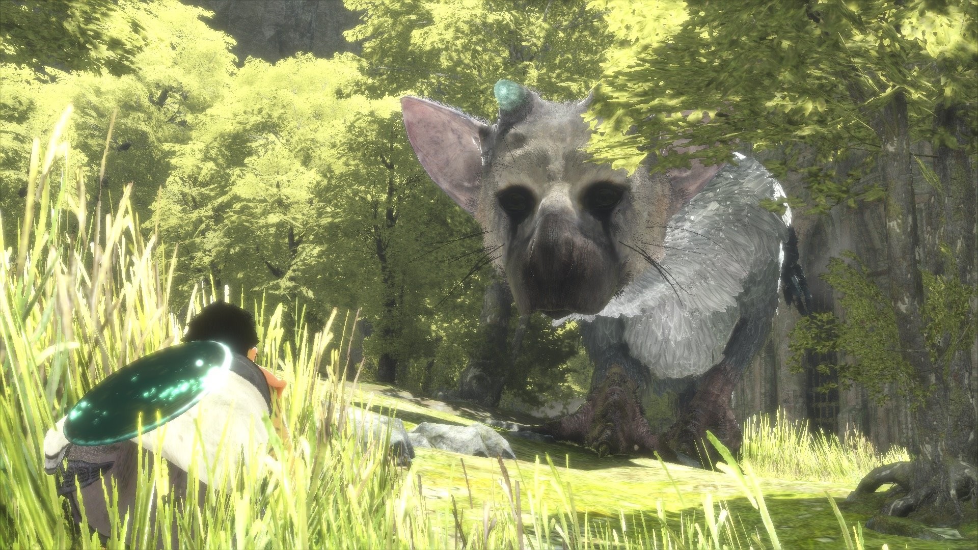 Trico, The Last Guardian, Ragazzo, Foresta, Erba alta, Full HD, sfondo per PC