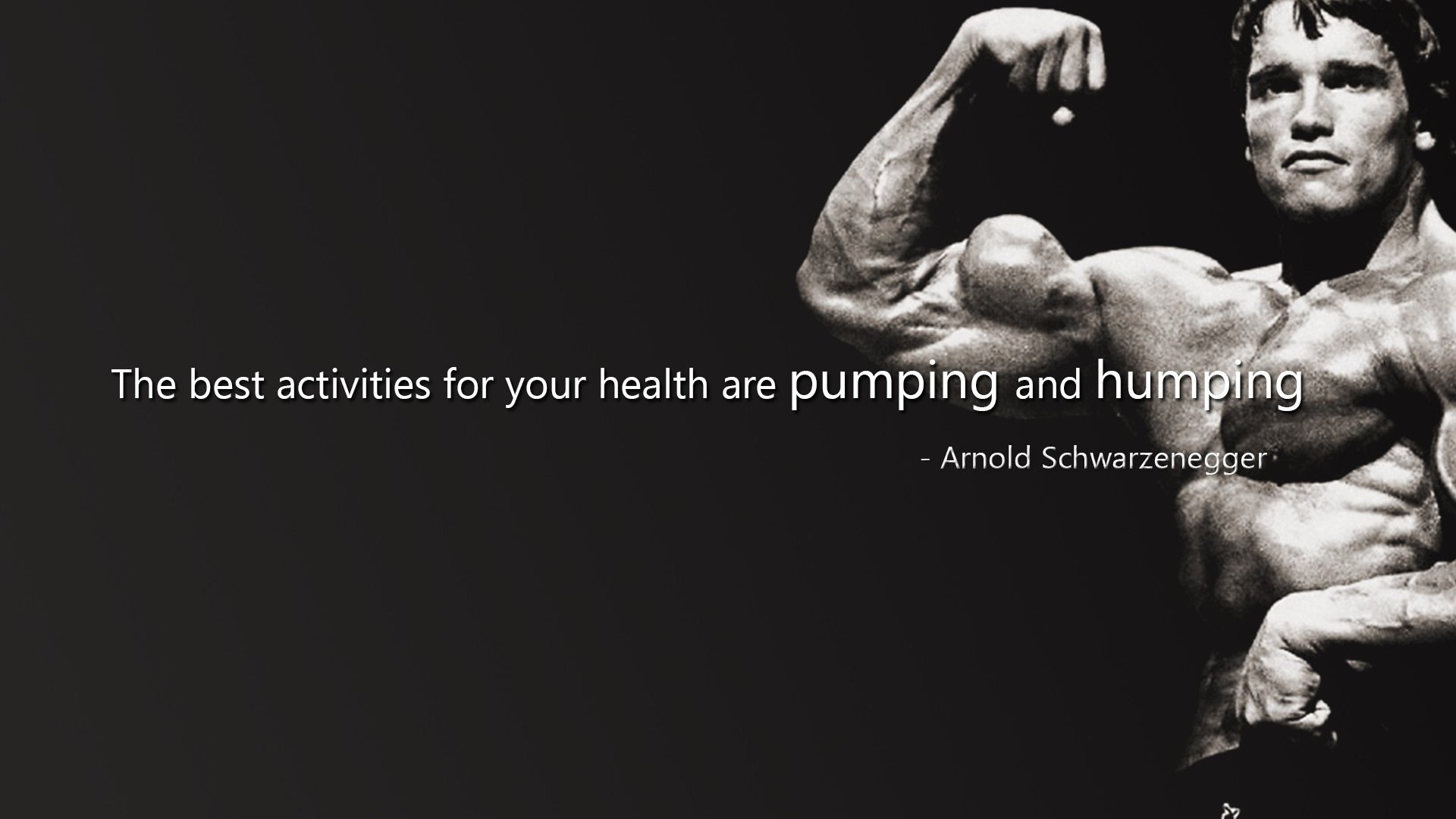 Arnold Schwarzenegger, Citazione, Bicipiti, Umoristico, Full HD 1080p, sfondo desktop