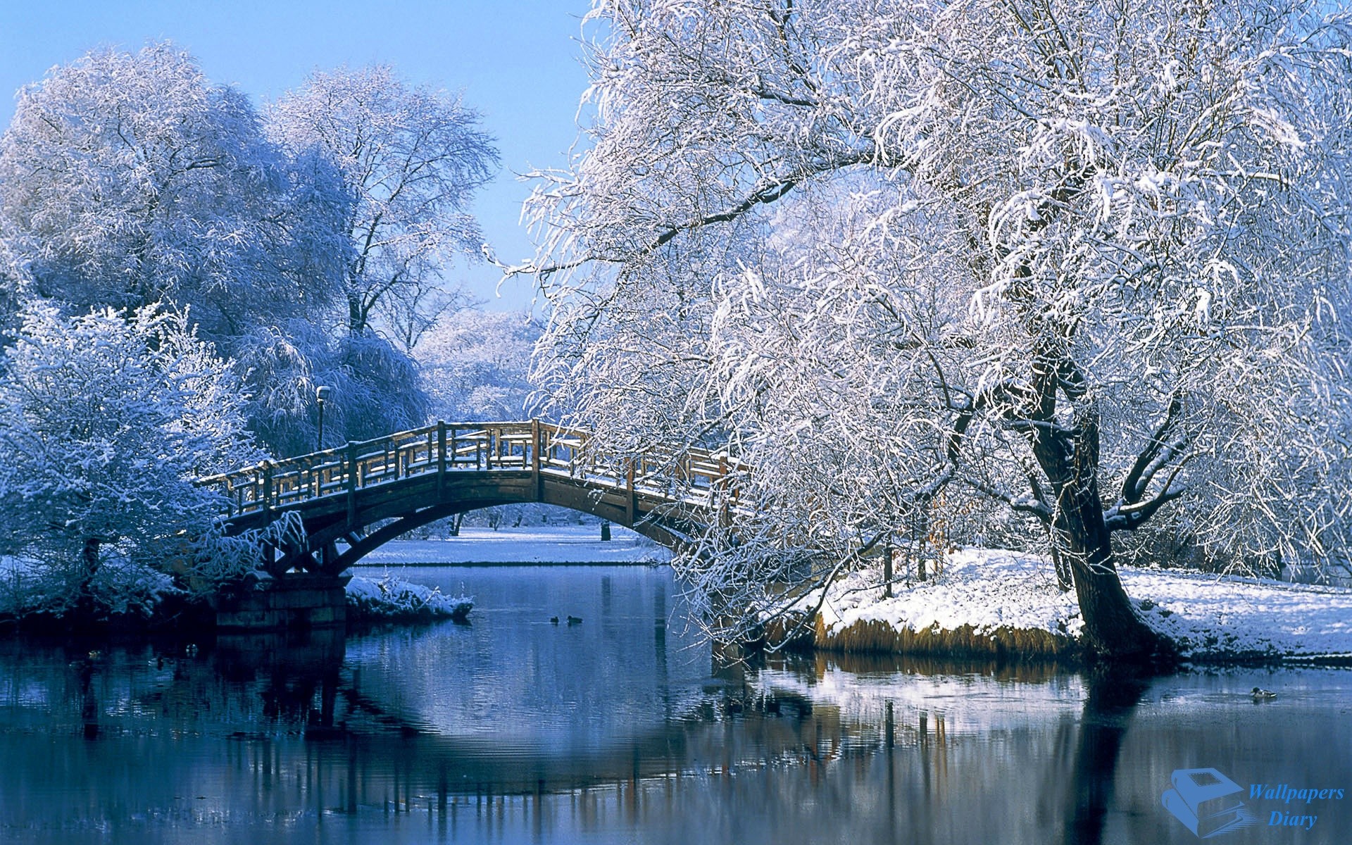 Ponte, Alberi innevati, Lago, Brina, 1920x1200, immagine di sfondo