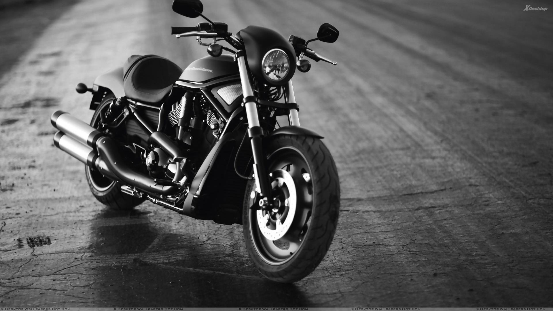 Harley-Davidson V-Rod Night Rod, Harley-Davidson, Cruiser, Bianco e nero, Asfalto, sfondo 1080p