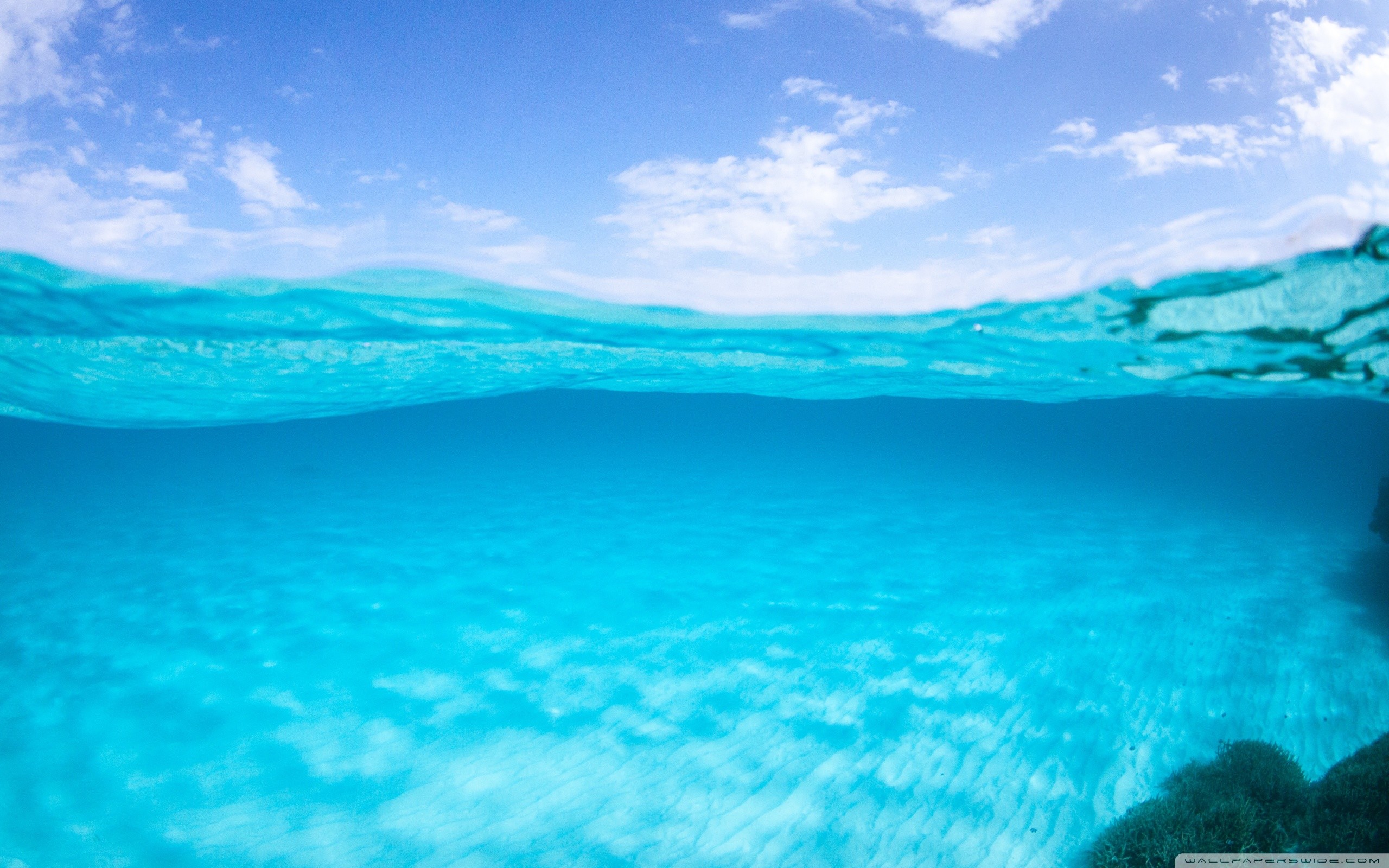 Vista sdoppiata, Acqua turchese, Fondale sabbioso, Cielo, 2K 1600p, sfondo desktop