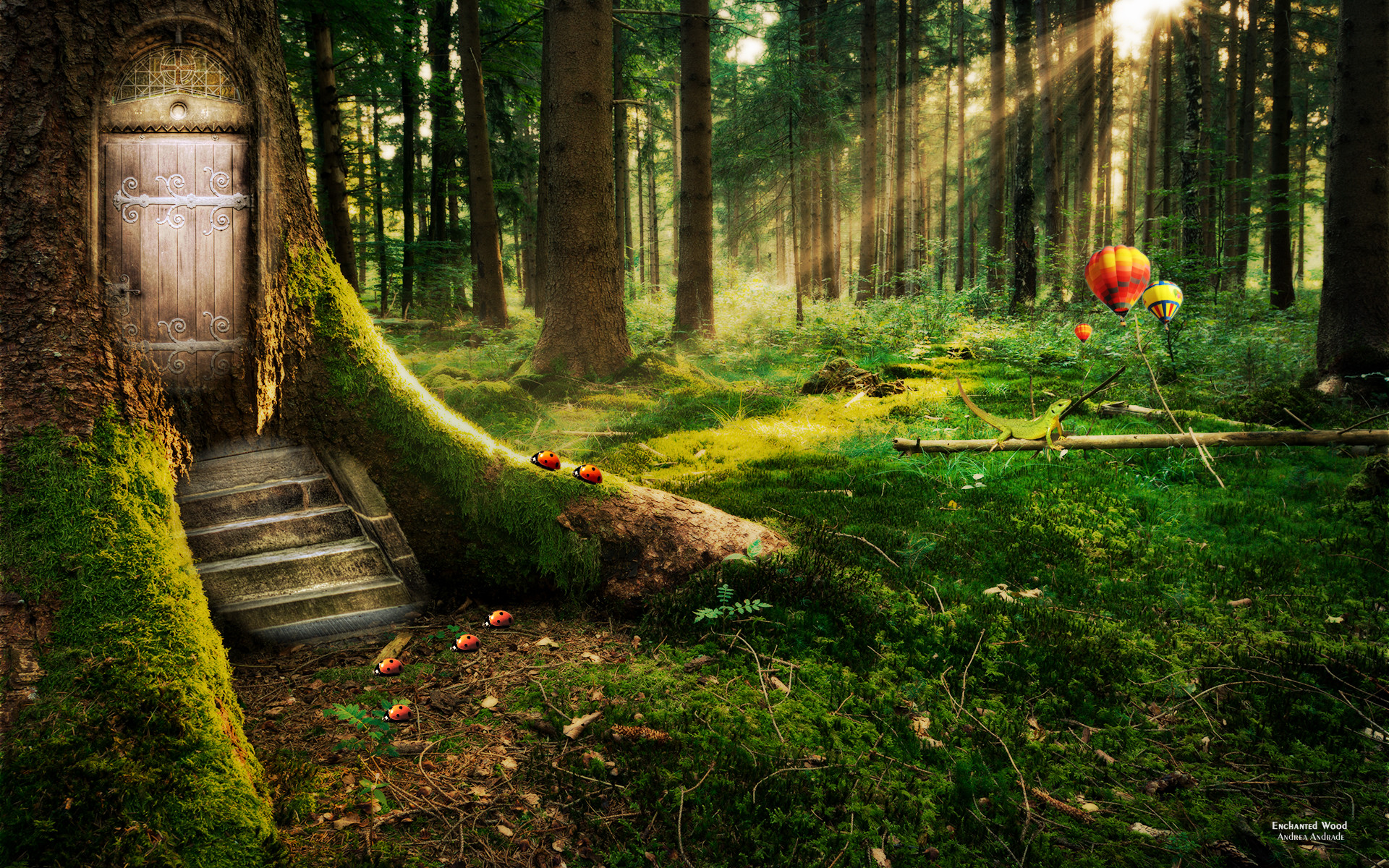 Porta nell'albero, Bosco incantato, Fantasy, Raggi di sole, Muschio, sfondo Full HD per computer