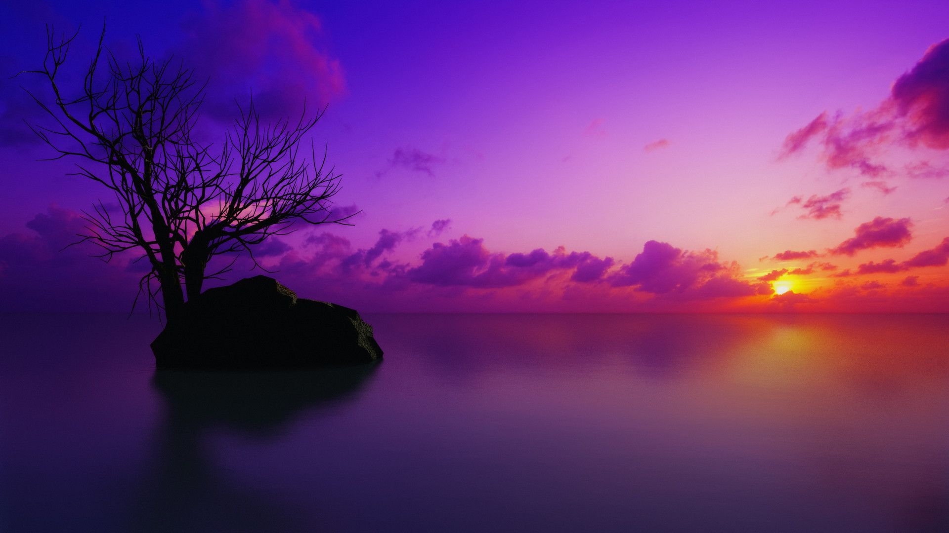 Tramonto, Albero, Isolotto, Cielo viola, Full HD, wallpaper per portatile
