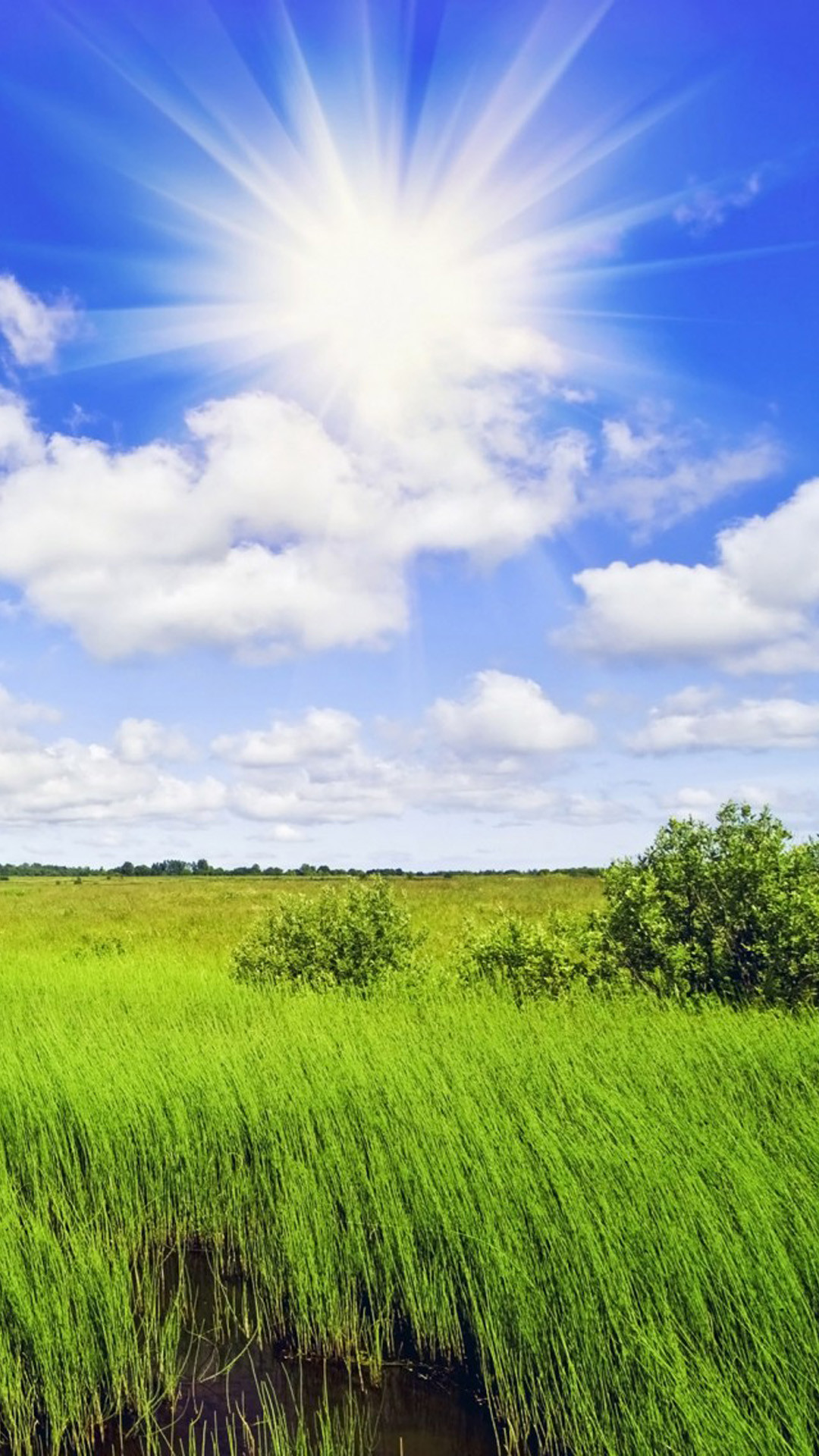 Sole, Cielo blu, Prato, Nuvole, Full HD, wallpaper per smartphone