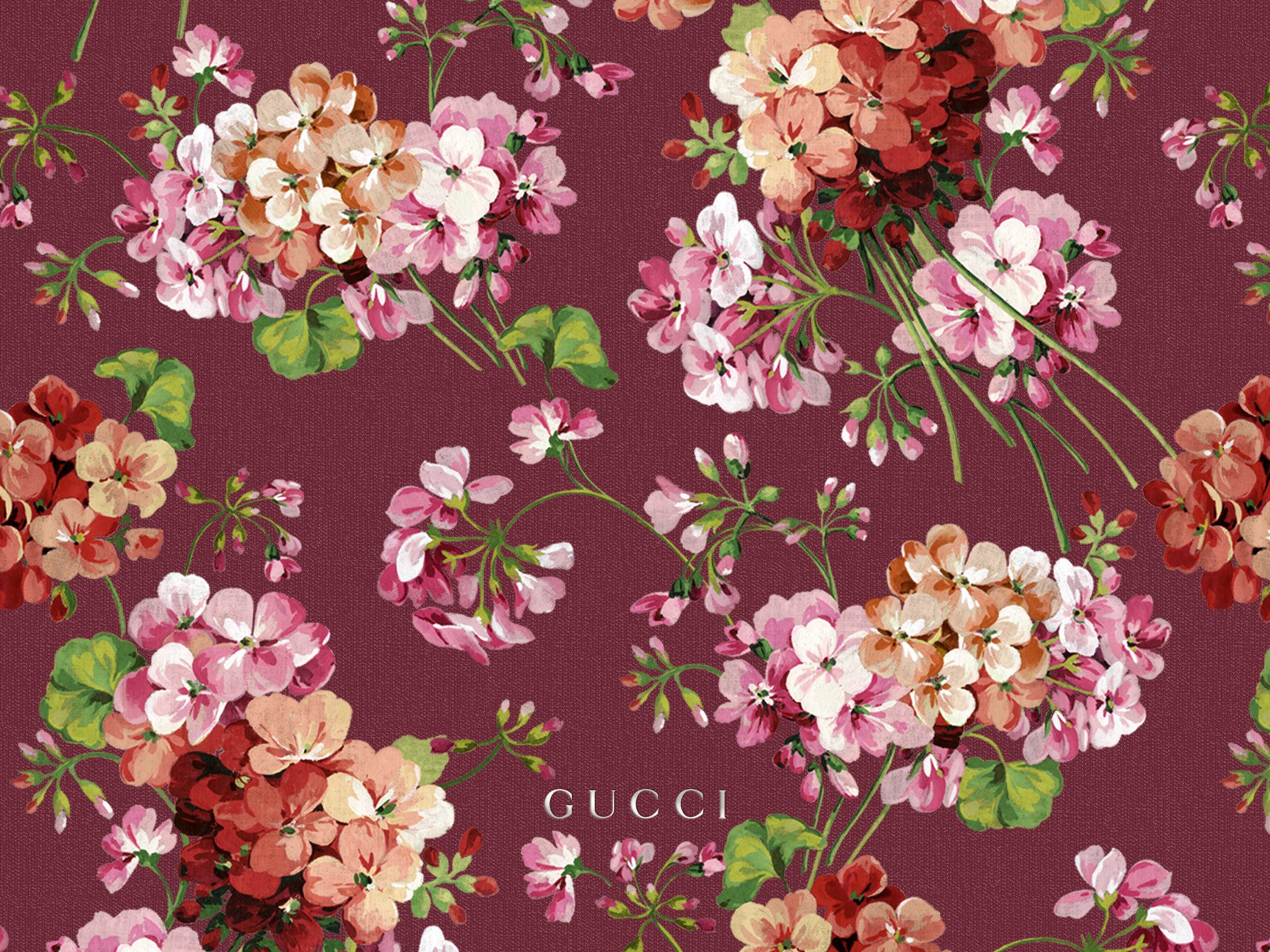 Gucci Blooms, Gucci, Gerani, Motivo floreale, Bordeaux, Full HD, sfondo per iPad e tablet