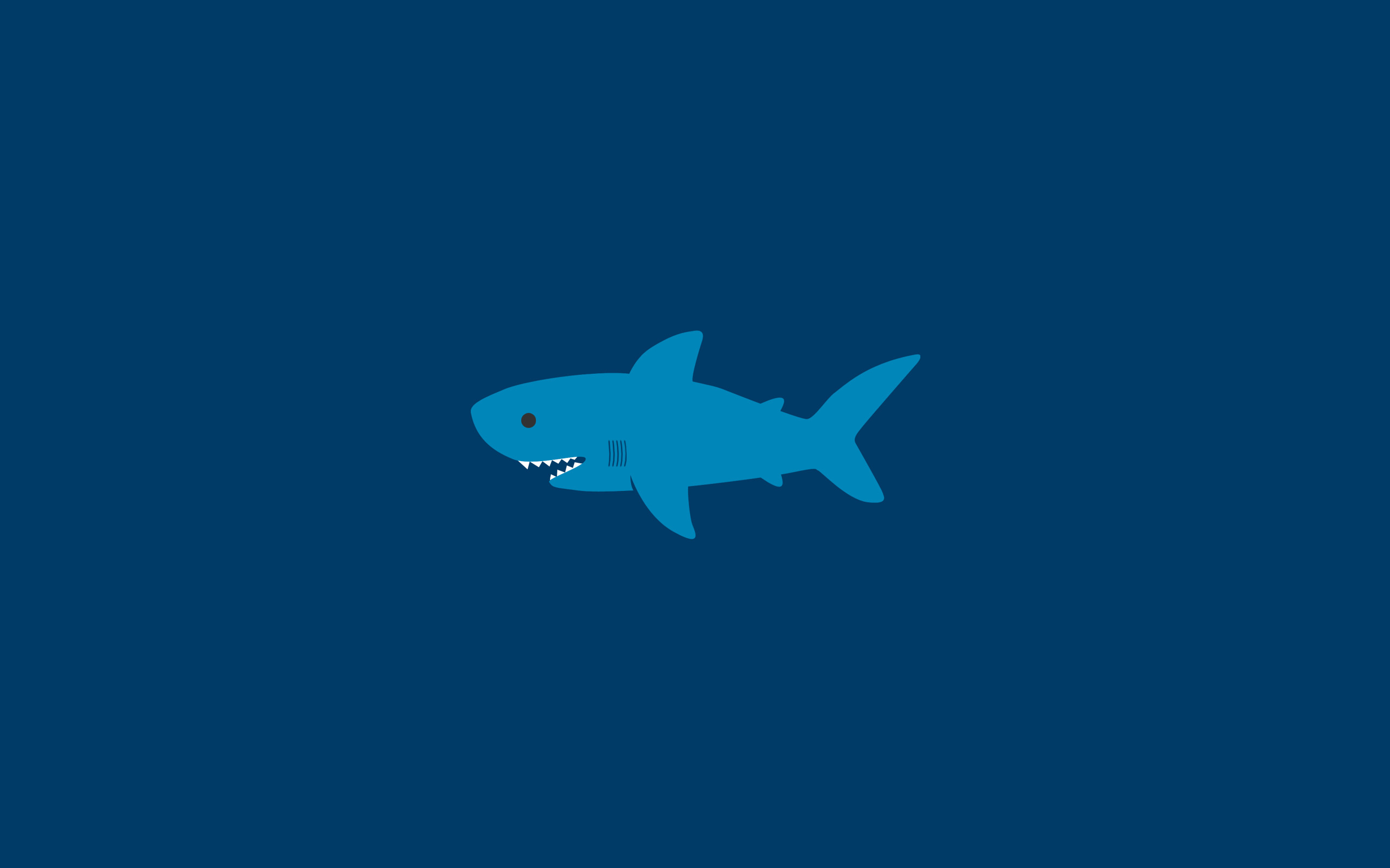 Squalo, Minimalista, Illustrazione, Blu, 2560x1600, immagine di sfondo