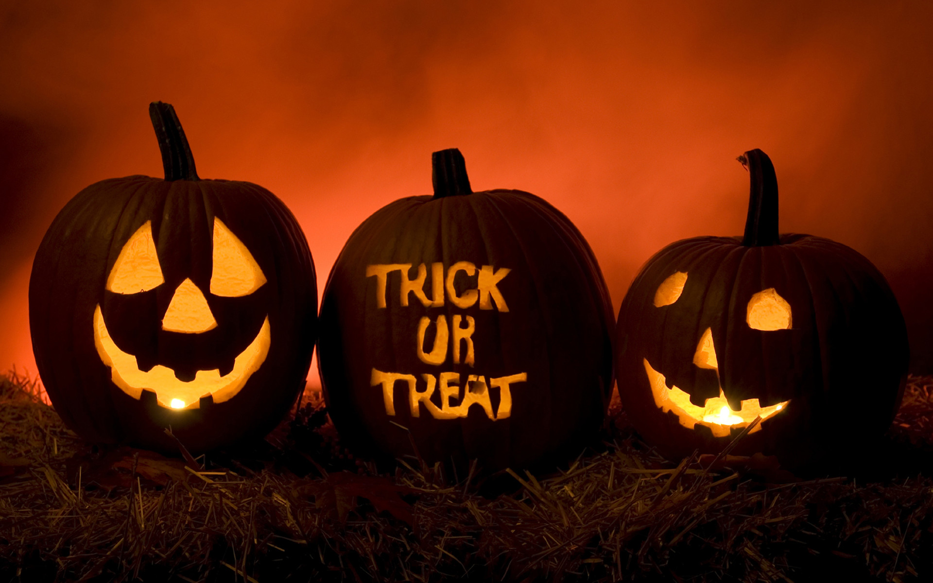 Trick or Treat, Jack-o'-lantern, Zucche intagliate, Arancione, Full HD, wallpaper desktop