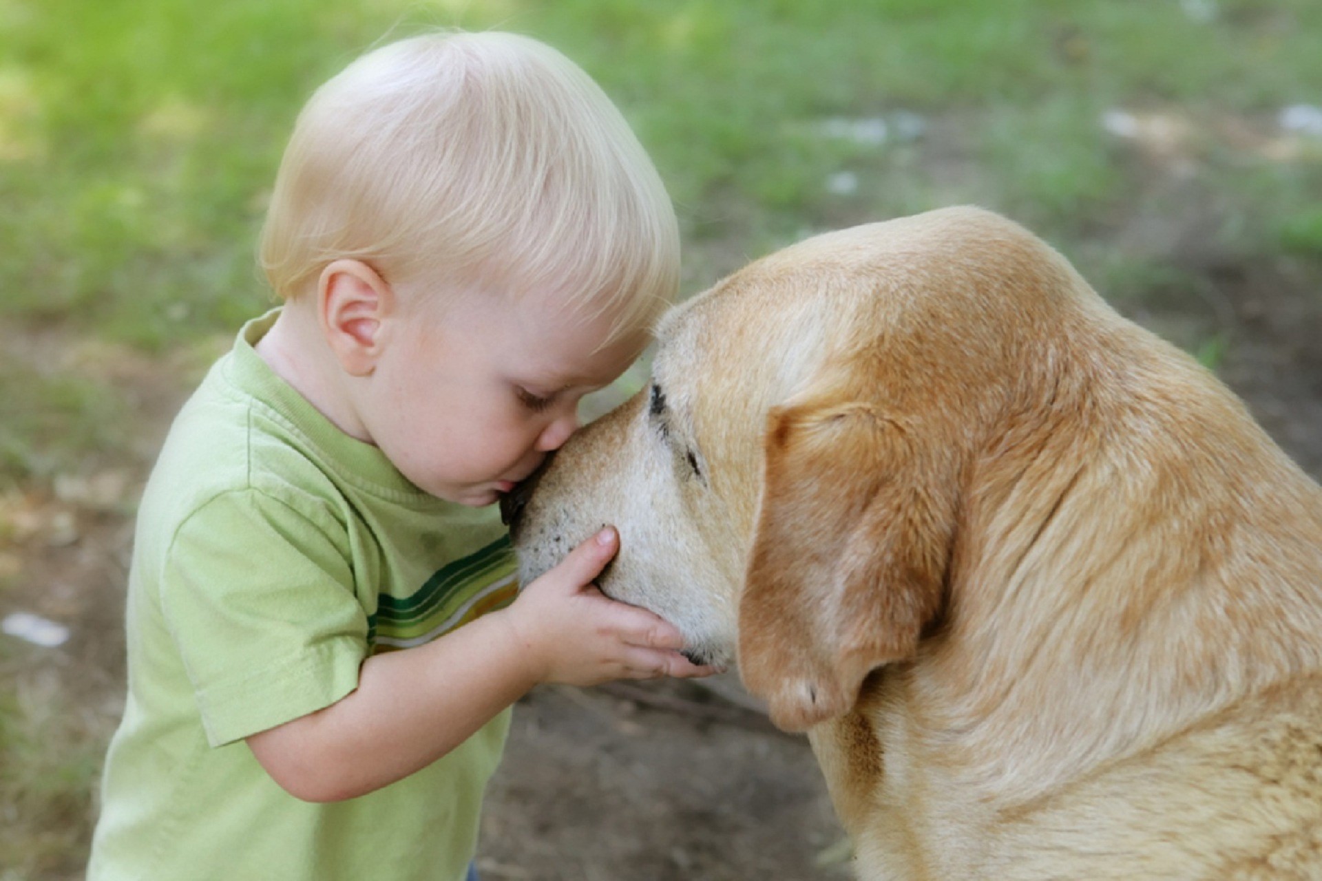 Bambino, Cane, Abbraccio, Golden Retriever, Full HD, sfondo desktop