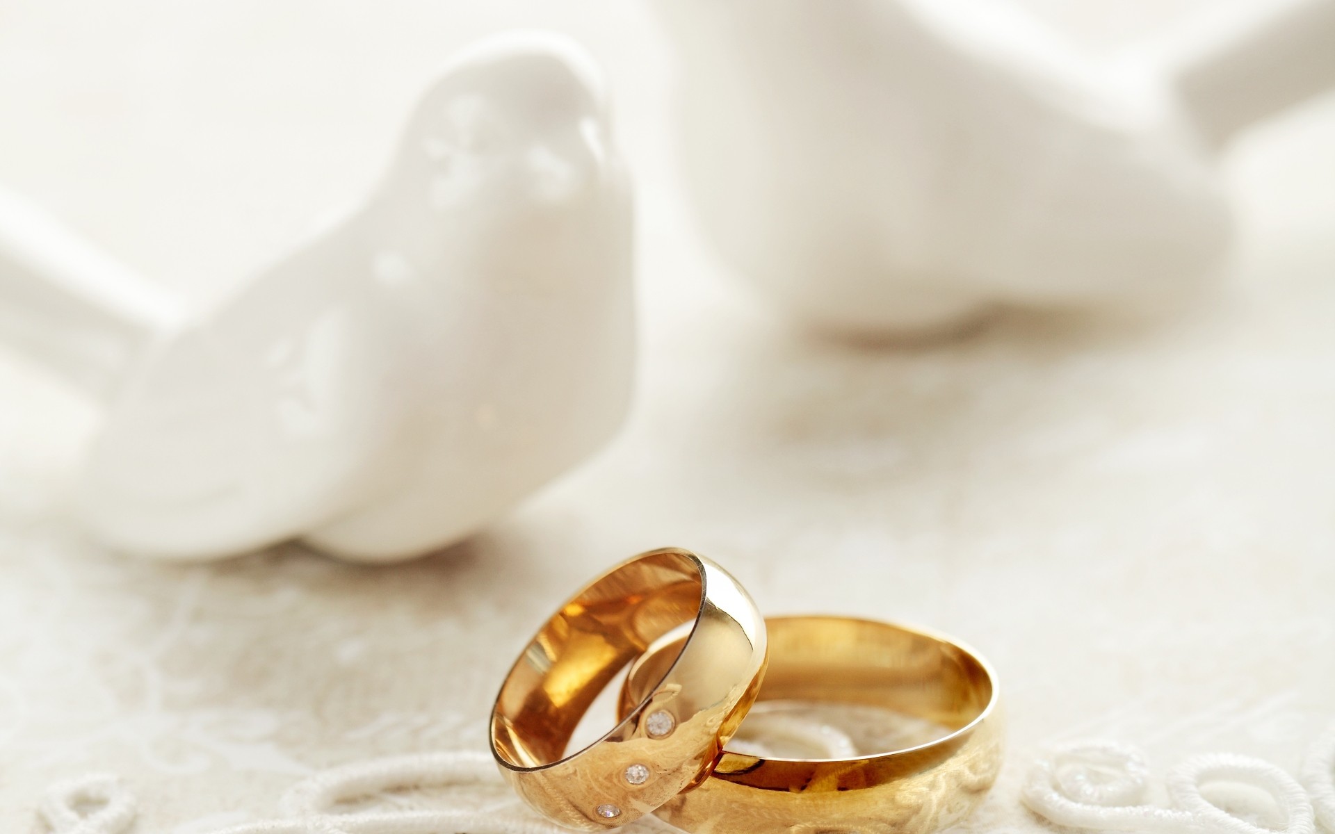Fedi nuziali, Colombe di ceramica, Anelli d'oro, Bianco, 16:10 Full HD, wallpaper widescreen