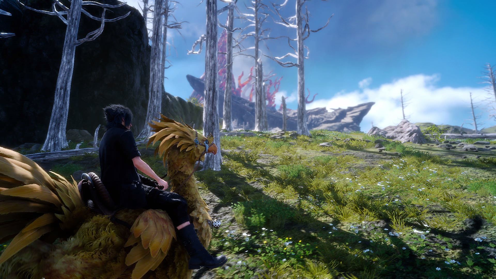 Noctis Lucis Caelum, Chocobo, Final Fantasy XV, Prato, Paesaggio, sfondo desktop Full HD