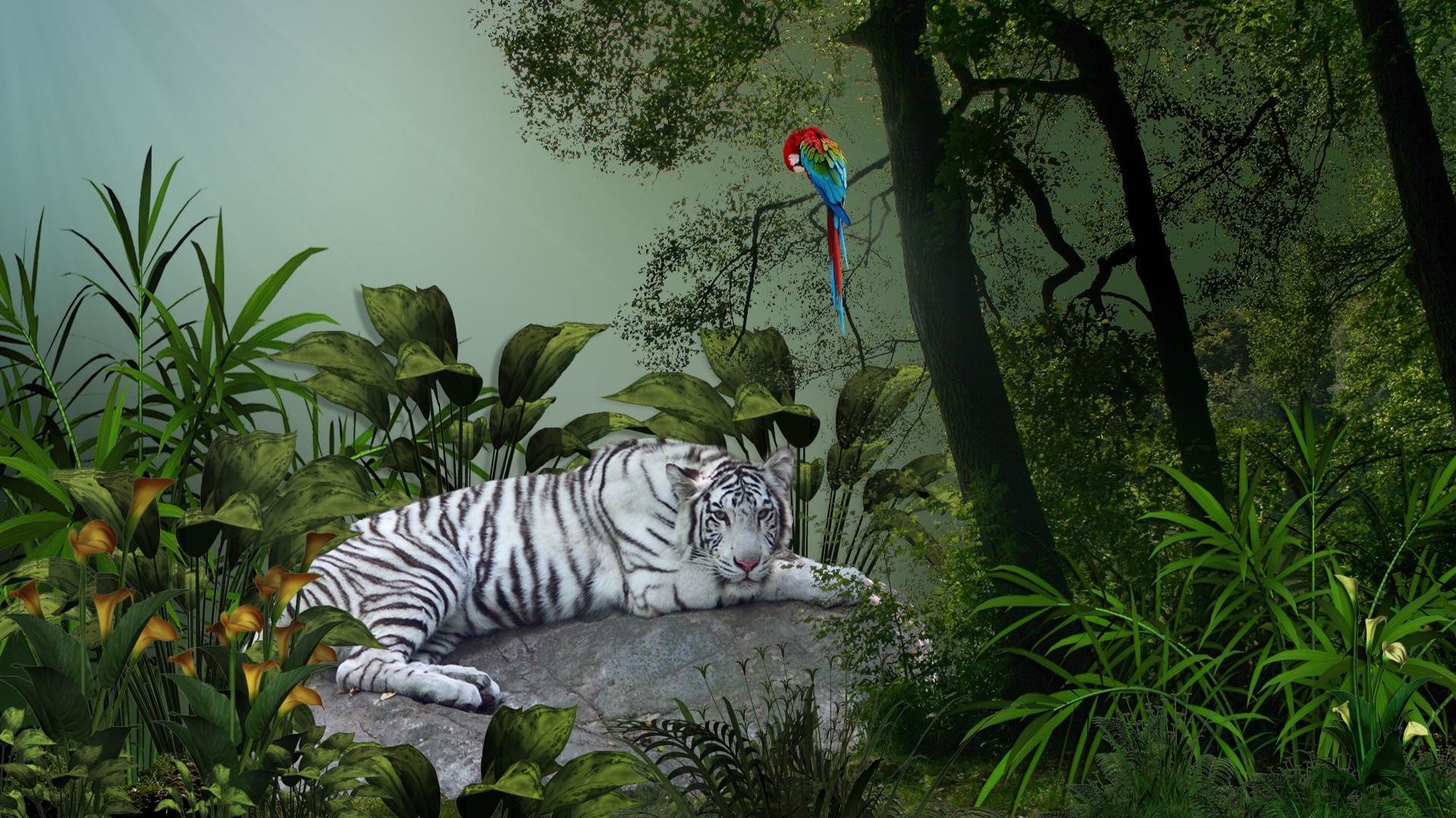 Tigre bianca, Pappagallo, Giungla, Arte digitale, 1920x1080, immagine di sfondo