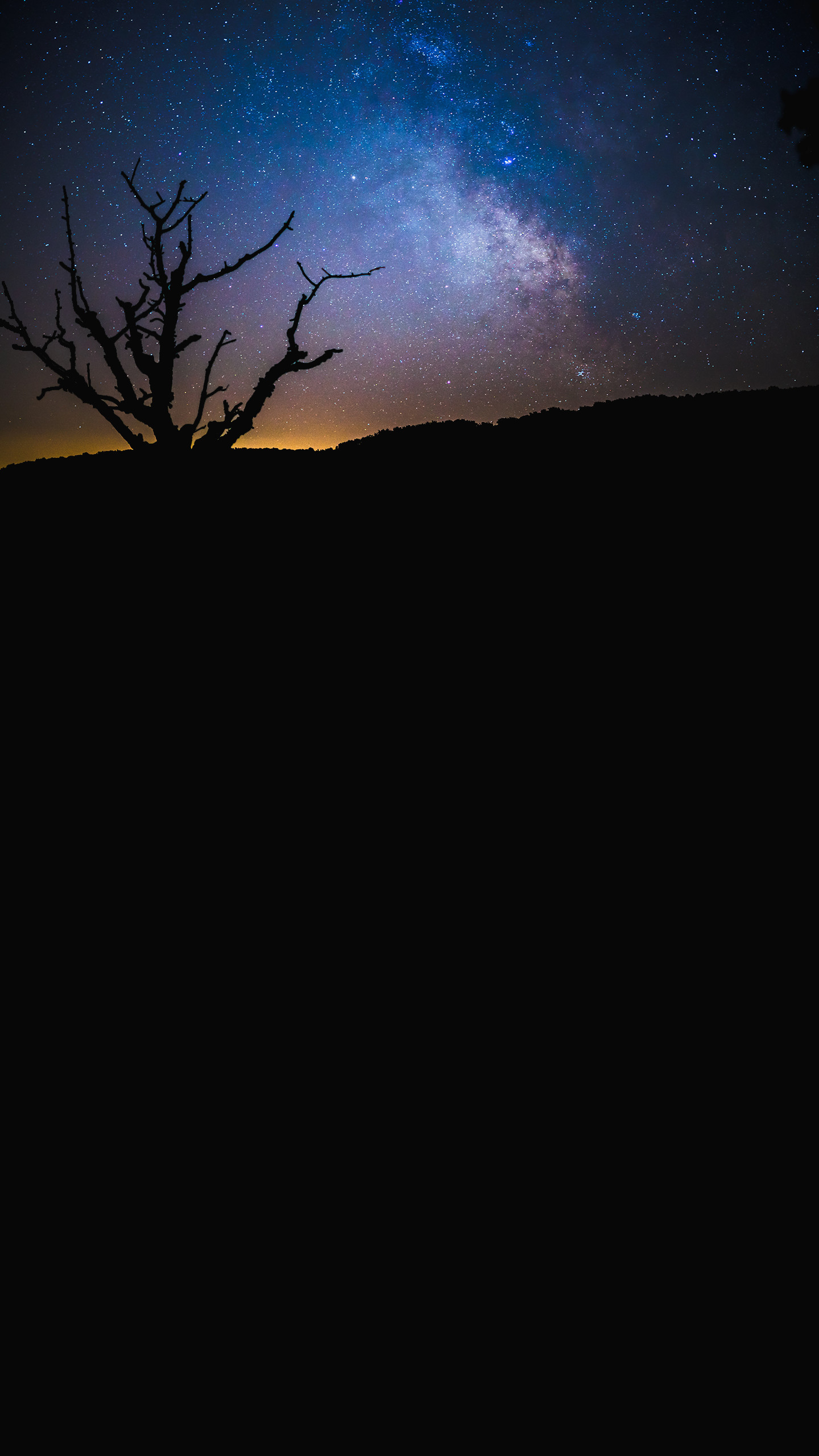 Via Lattea, Albero secco, Silhouette, Notte, immagine di sfondo Android