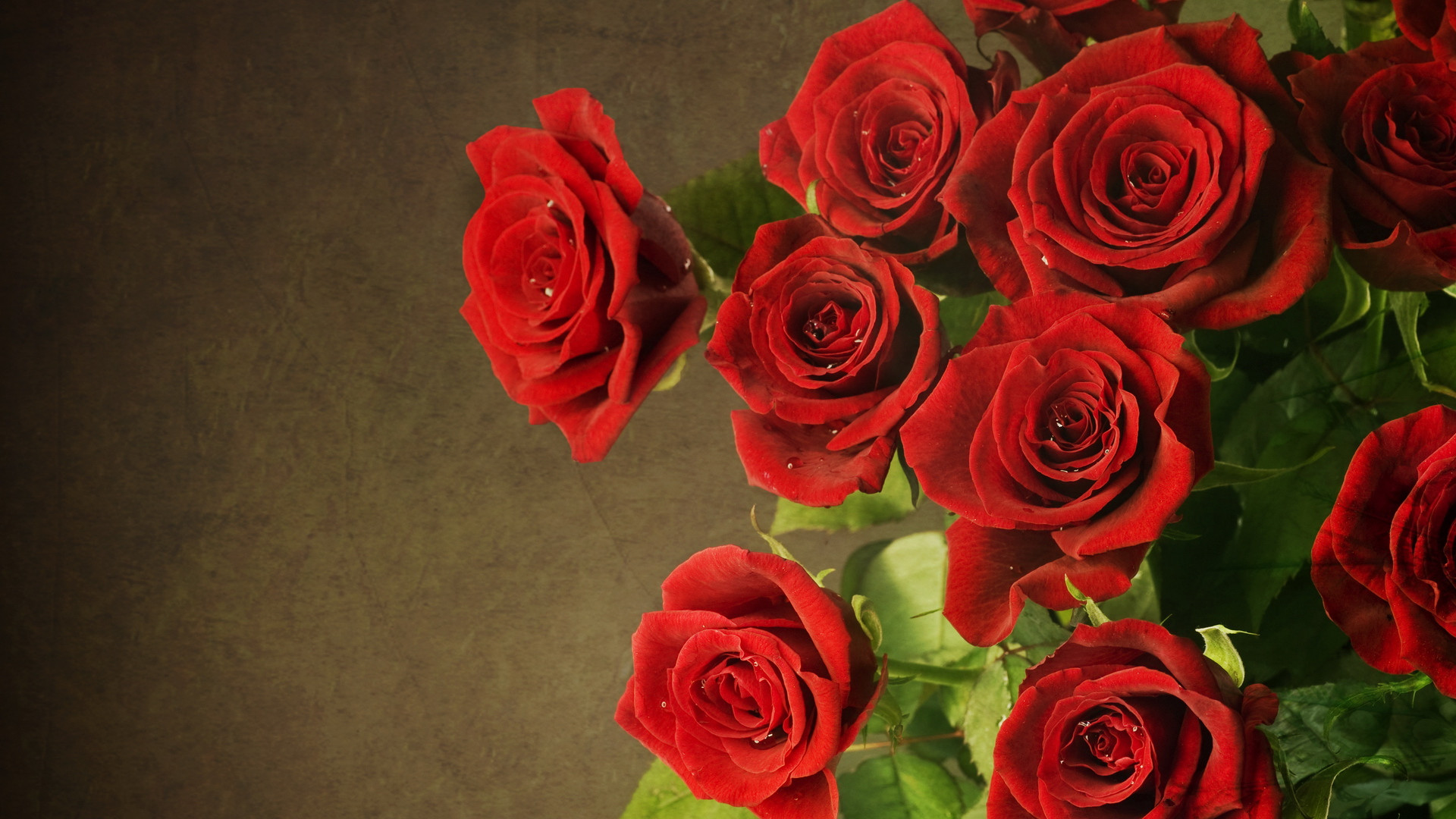 Rose rosse, Mazzo di rose, Fiori, Sfondo marrone, Full HD, wallpaper desktop