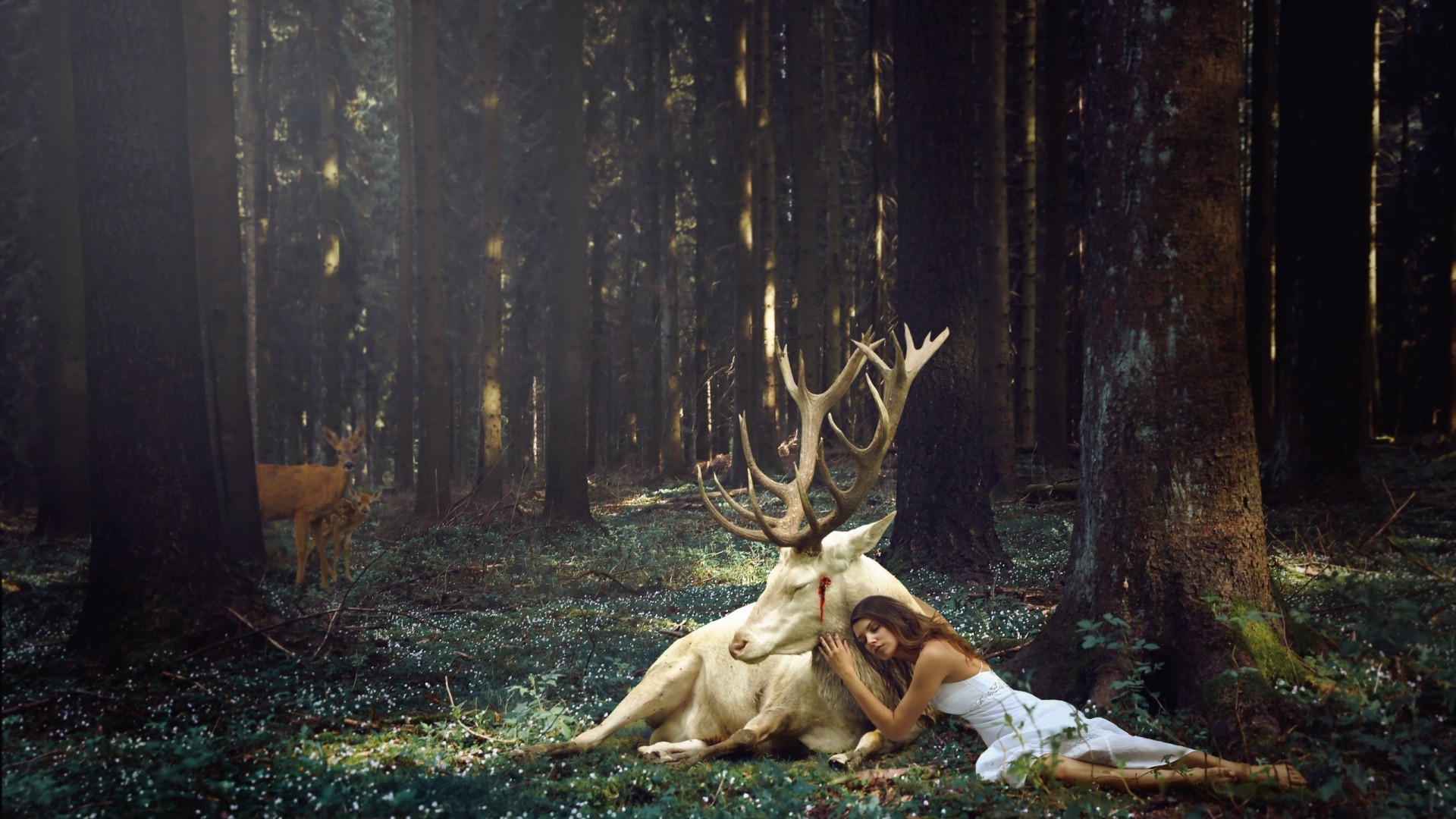 Foresta, Cervo, Donna, Fantasy, Fotomanipolazione, Full HD, wallpaper per PC