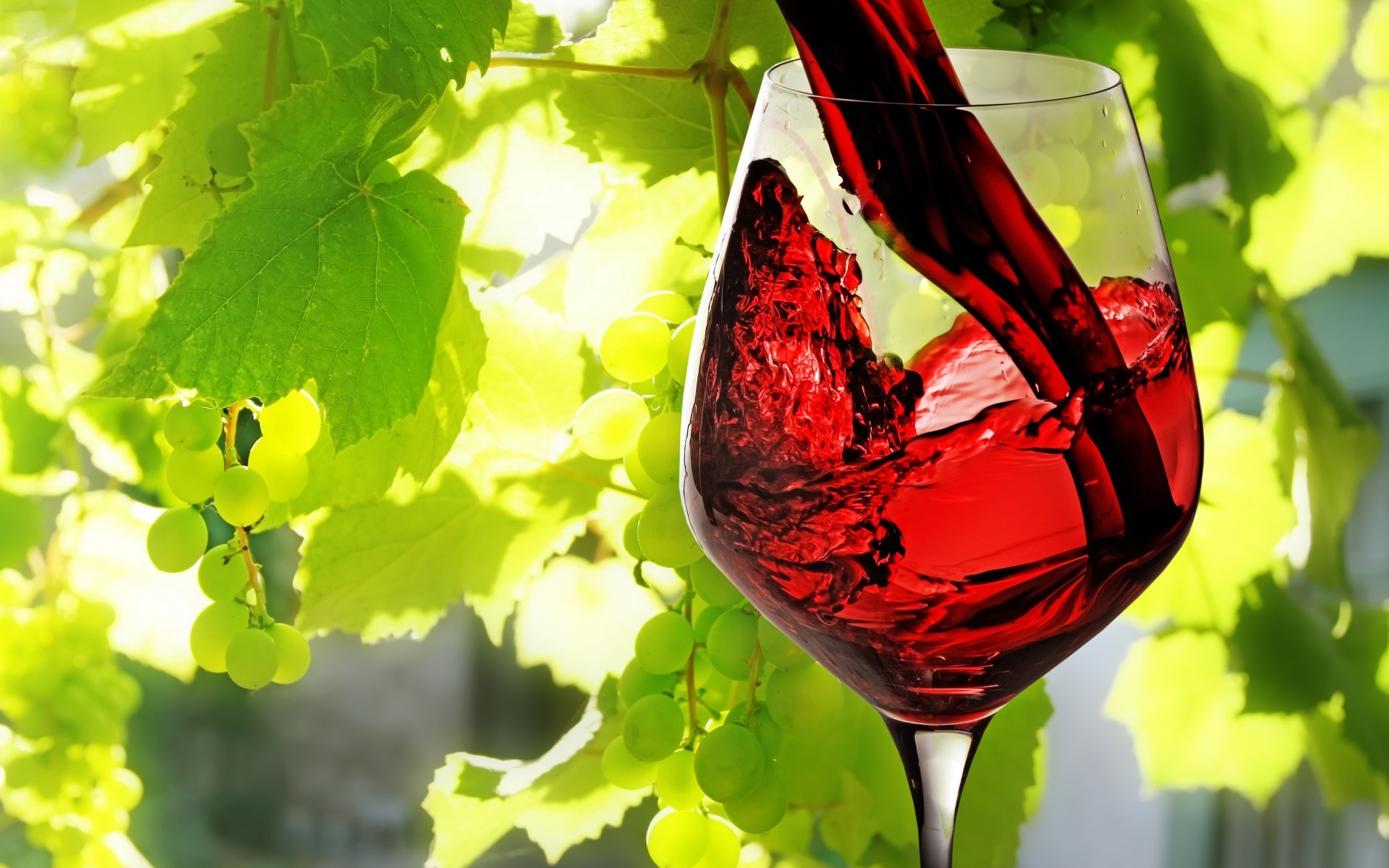 Vino rosso, Versare, Calice, Foglie di vite, Uva, 16:10 Full HD, sfondo widescreen