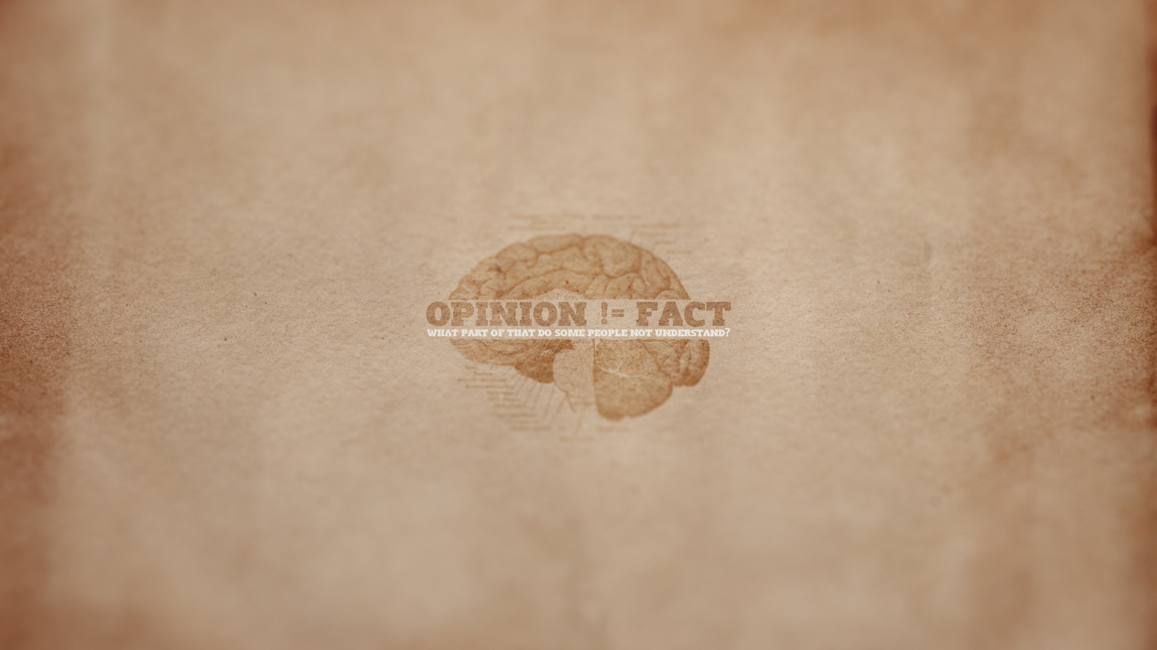 Cervello, Opinion ≠ Fact, Tipografia, Pergamena, 16:9 4K, sfondo widescreen