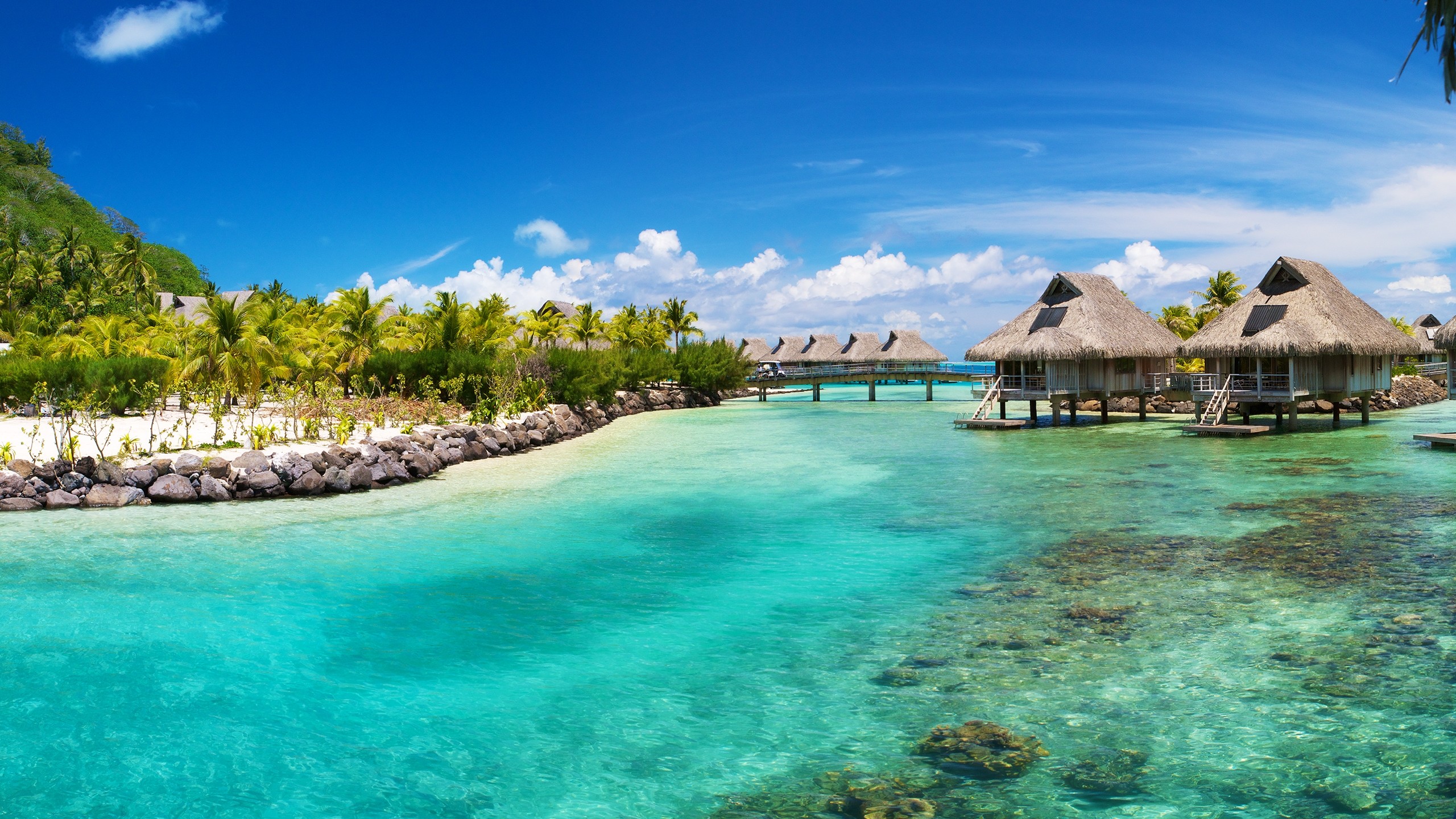 Bungalow sull'acqua, Laguna, Palme, Resort, 2560x1440, immagine di sfondo