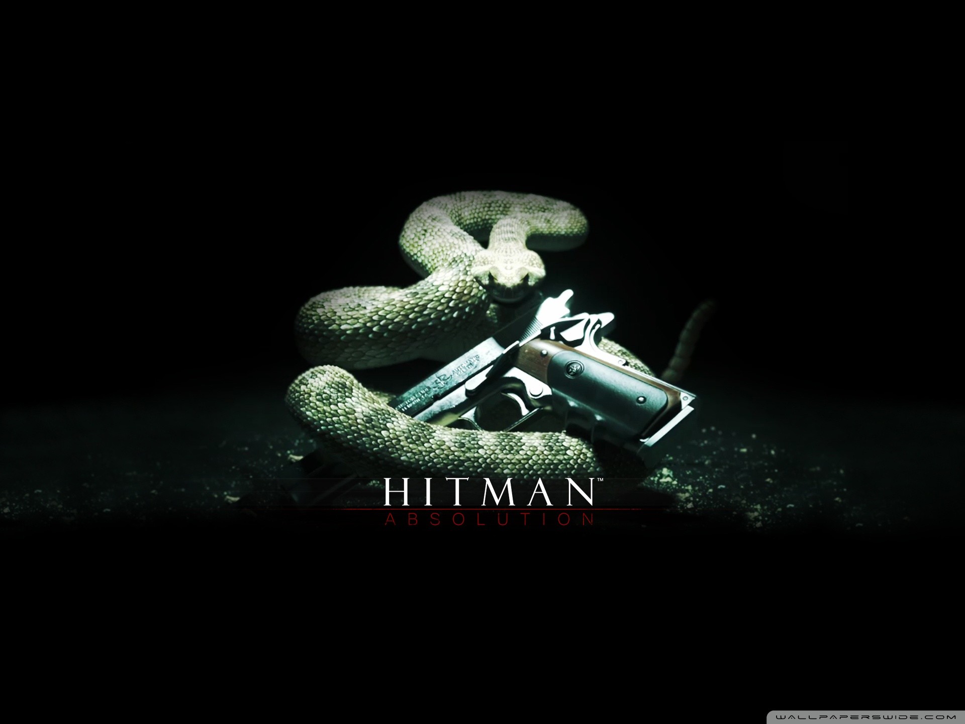 Hitman: Blood Money, Serpente, Pistola, Logo, Full HD, sfondo per iPad e tablet