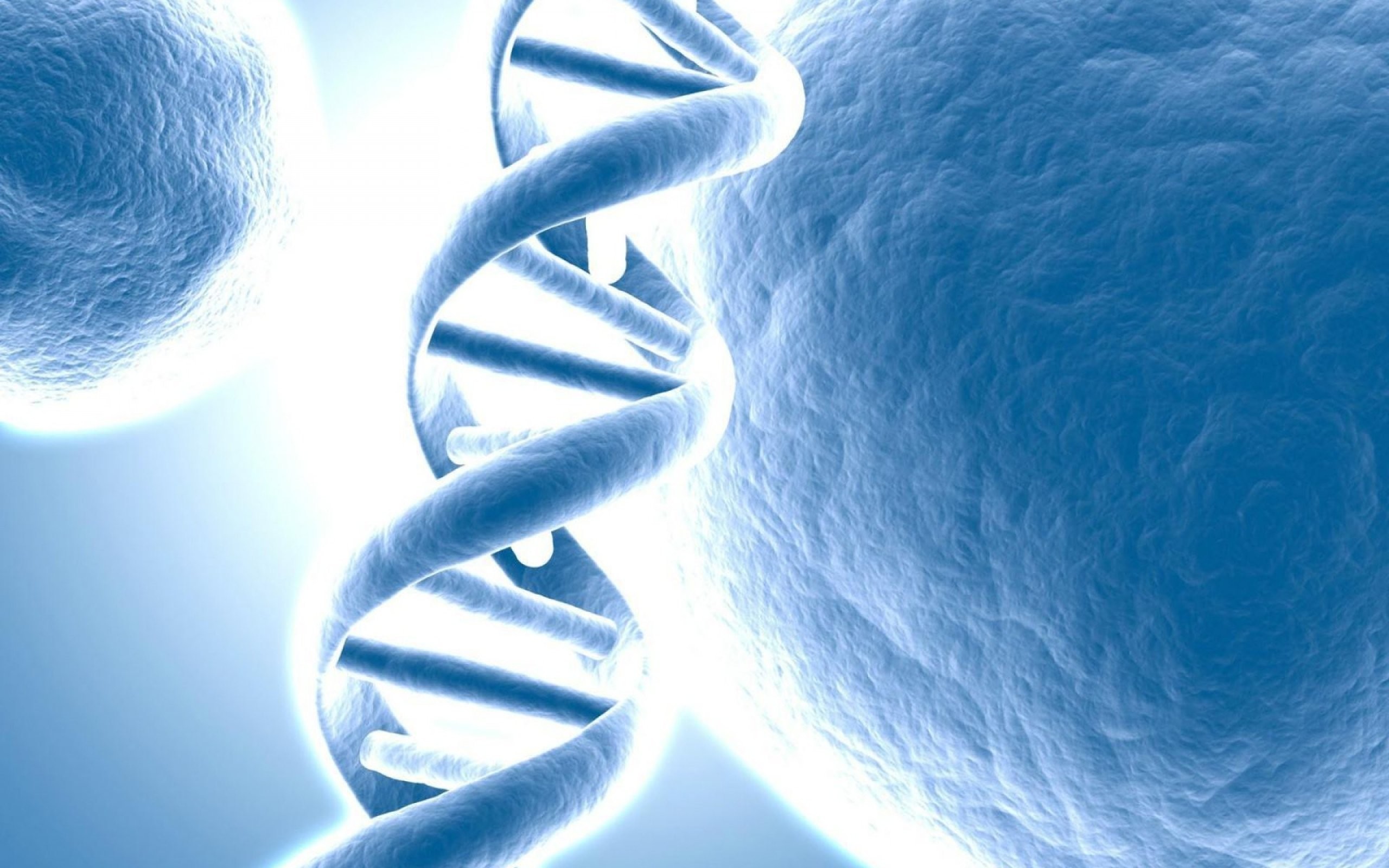 DNA, Cellule, Doppia elica, Azzurro, 2560x1600, sfondo per PC