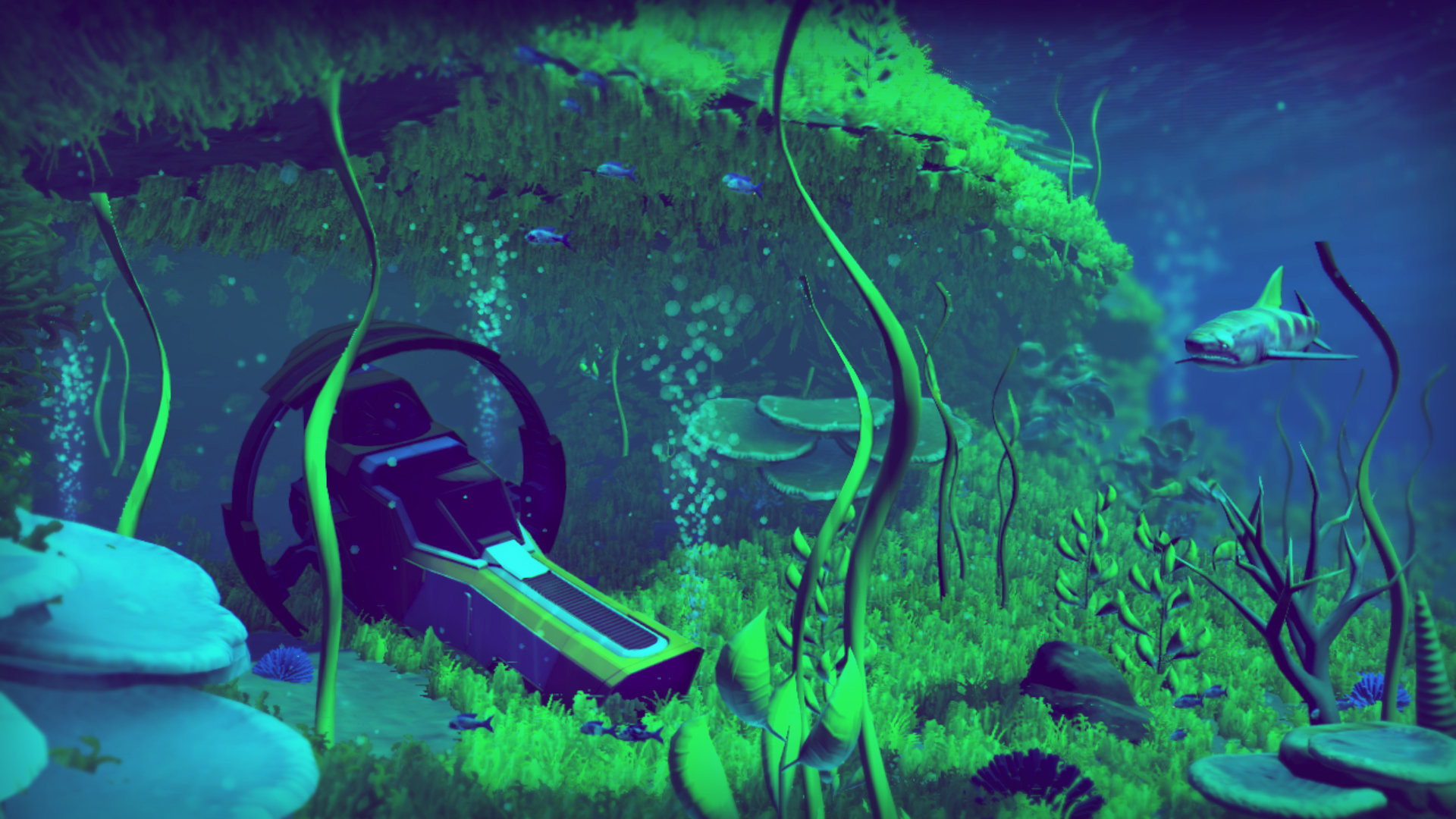 No Man's Sky, Sott'acqua, Alghe, Squalo alieno, Full HD, sfondo per portatile