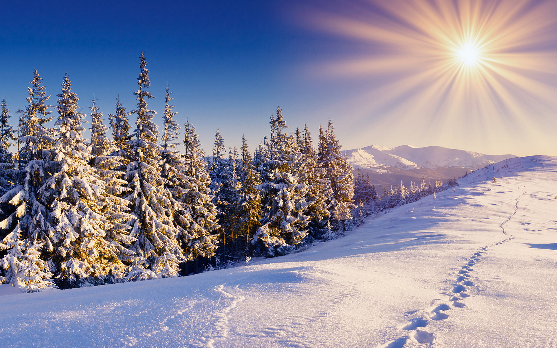 Abeti innevati, Sole, Montagne, Impronte, Full HD, sfondo per PC