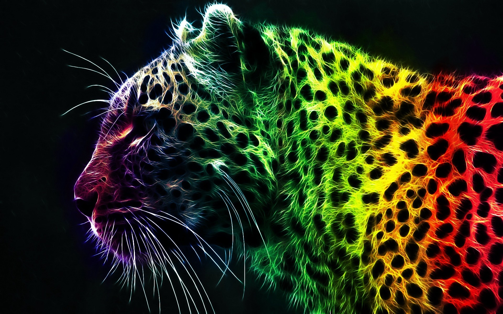Leopardo, Arte frattale, Arcobaleno, Sfondo nero, 16:10 Full HD, wallpaper widescreen