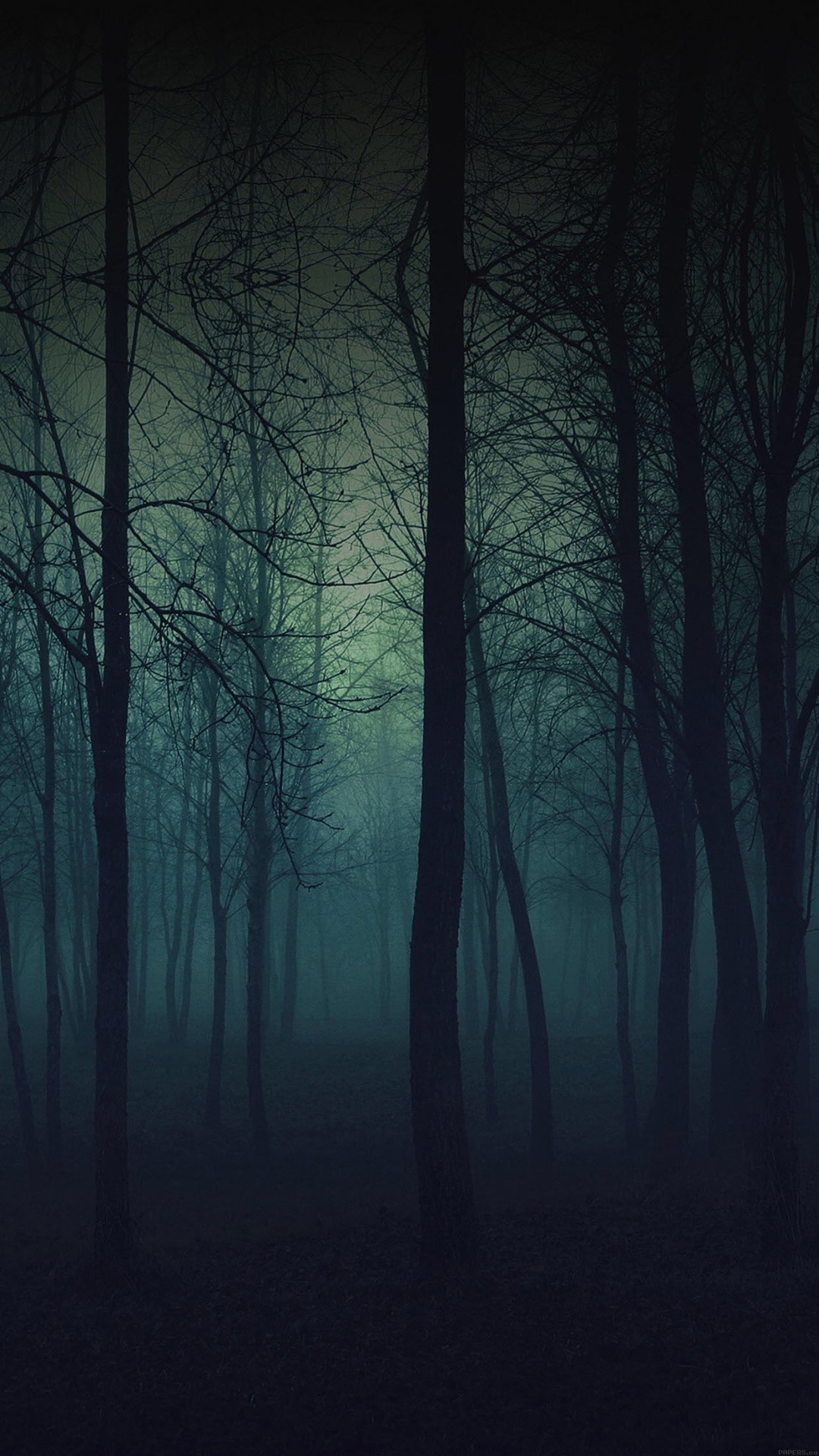 Foresta oscura, Alberi, Nebbia, Scuro, wallpaper iPhone 5