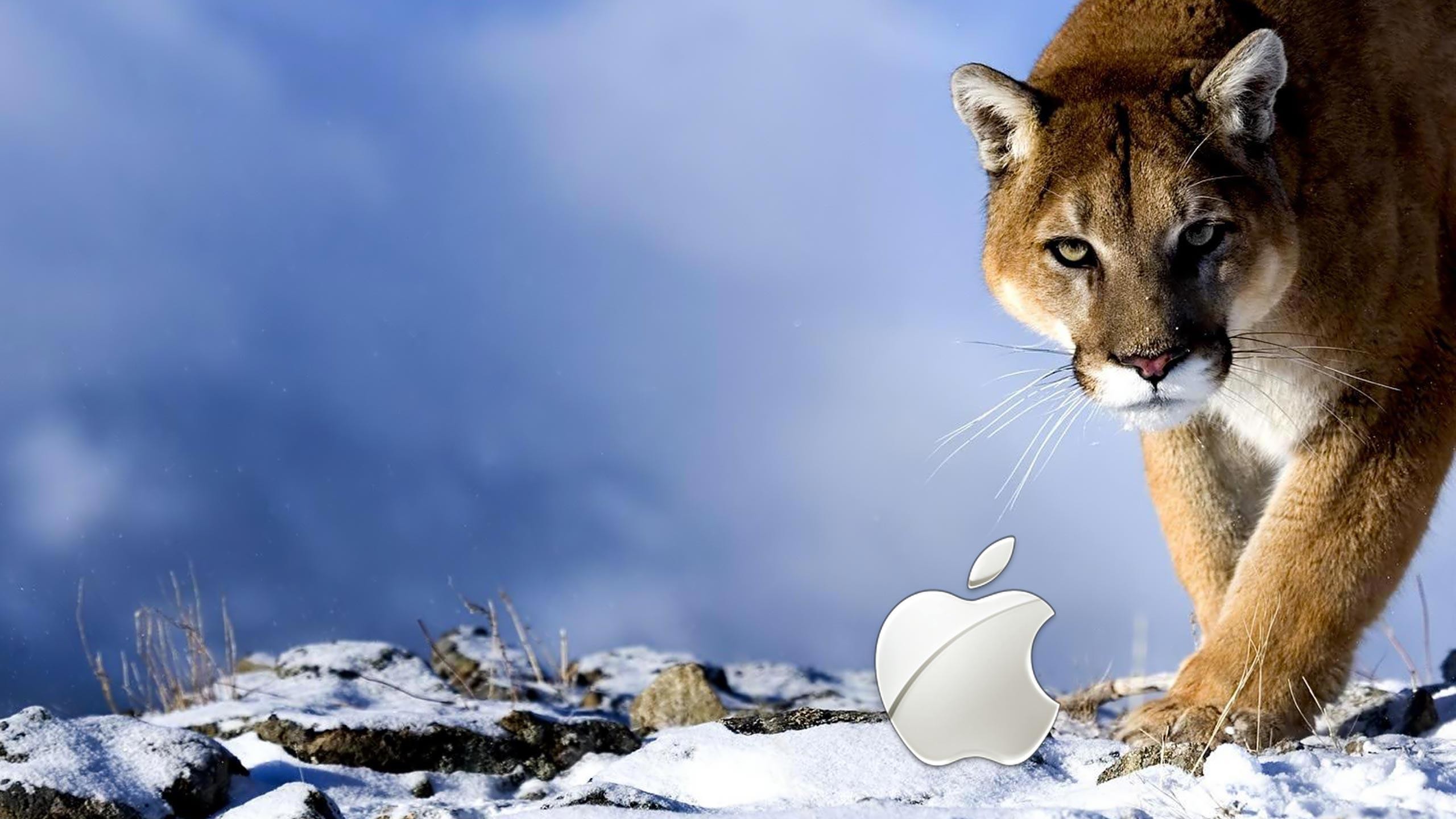 Mac OS X Mountain Lion, Puma, Logo Apple, Neve, Cielo blu, 2K 1440p, sfondo desktop