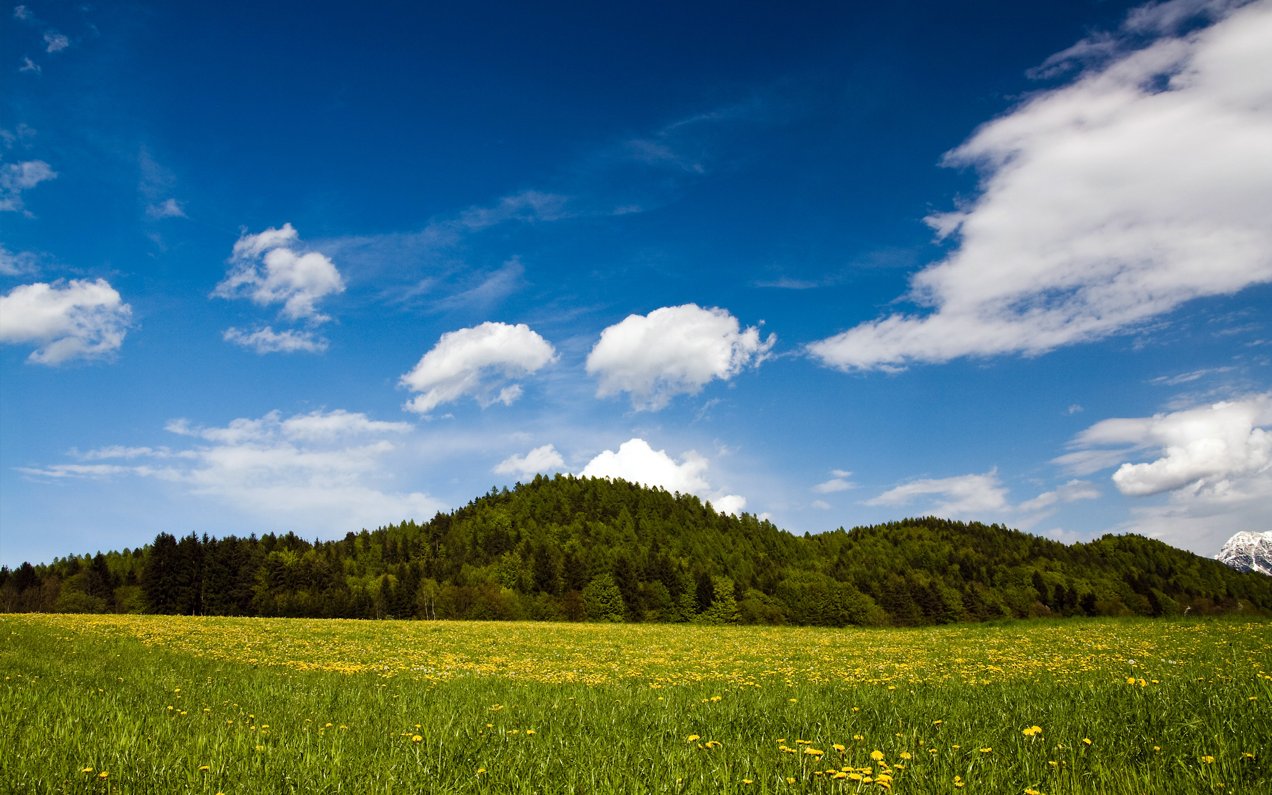 Prato, Collina, Cielo blu, Nuvole, 2K, sfondo per PC e portatile