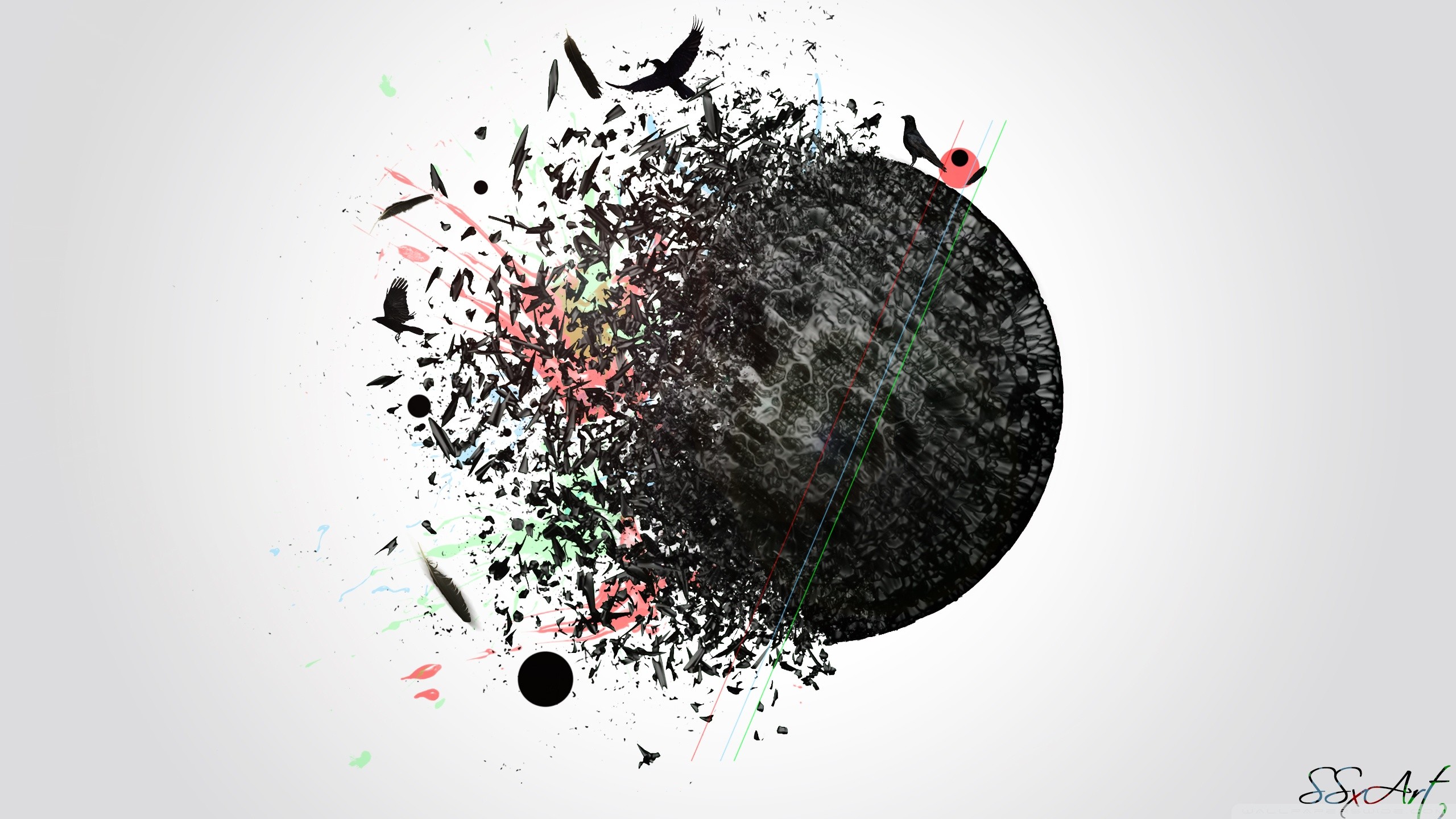 Uccelli, Sfera nera, Disintegrazione, Arte astratta, Sfondo bianco, wallpaper 2560x1440
