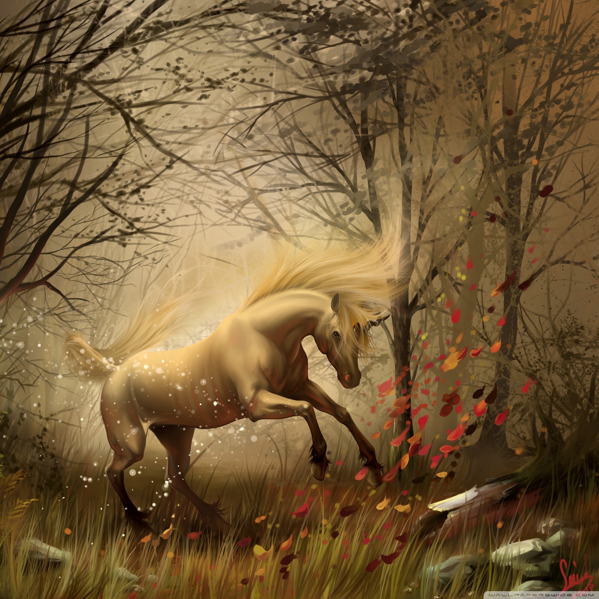Unicorno, Fantasy, Bosco autunnale, Illustrazione, sfondo per iPad e tablet