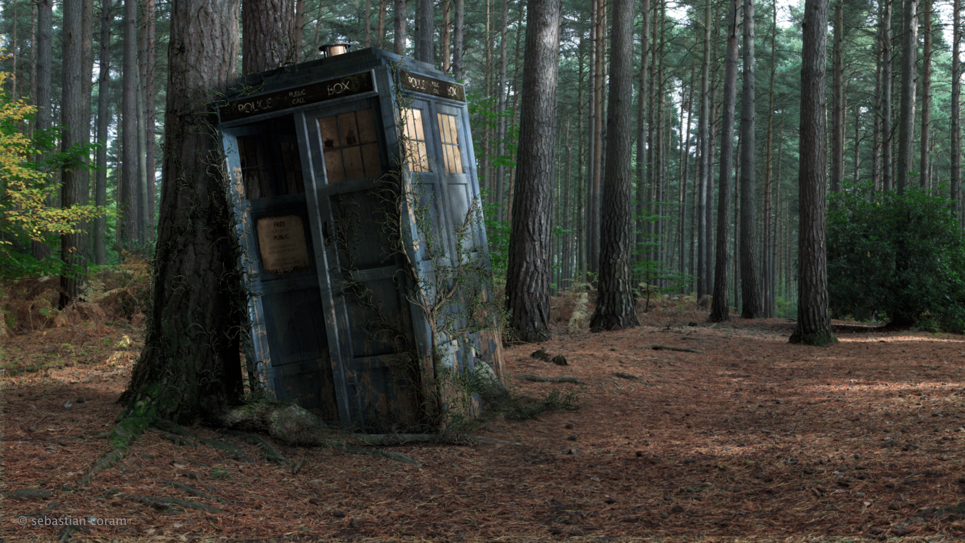 TARDIS, Doctor Who, Foresta, Pini, 16:9 Full HD, sfondo widescreen