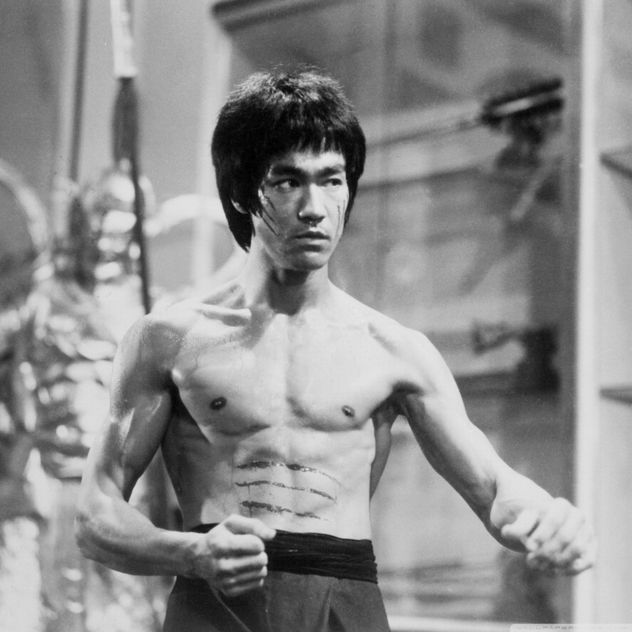 Bruce Lee, Bianco e nero, Muscoli, Posa di combattimento, Full HD, sfondo per iPad e tablet